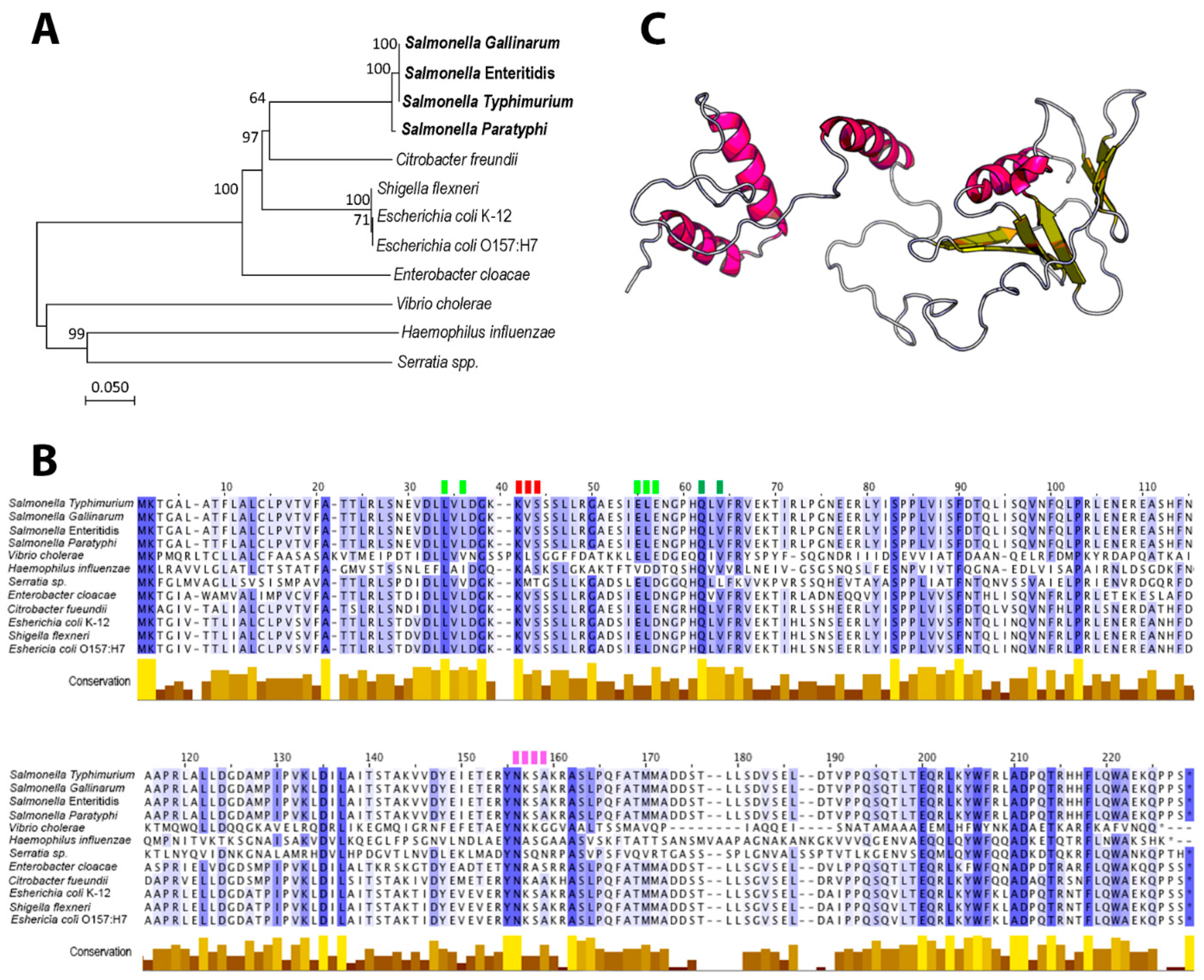 Biology 08 00086 g001