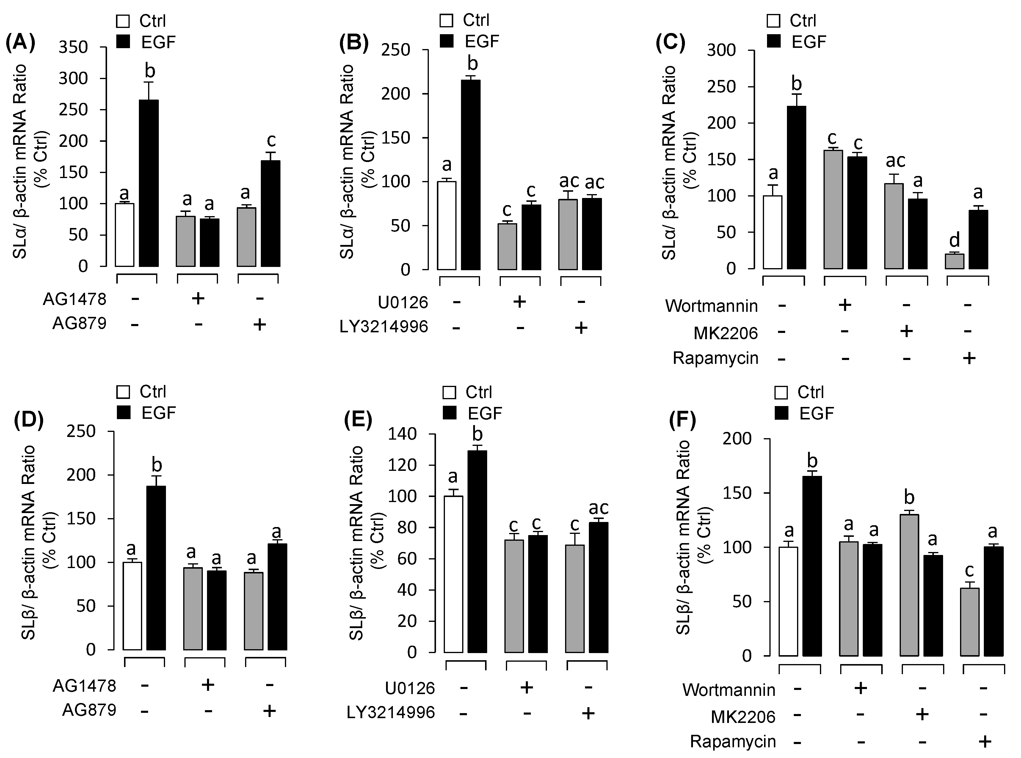 Biology 09 00279 g005