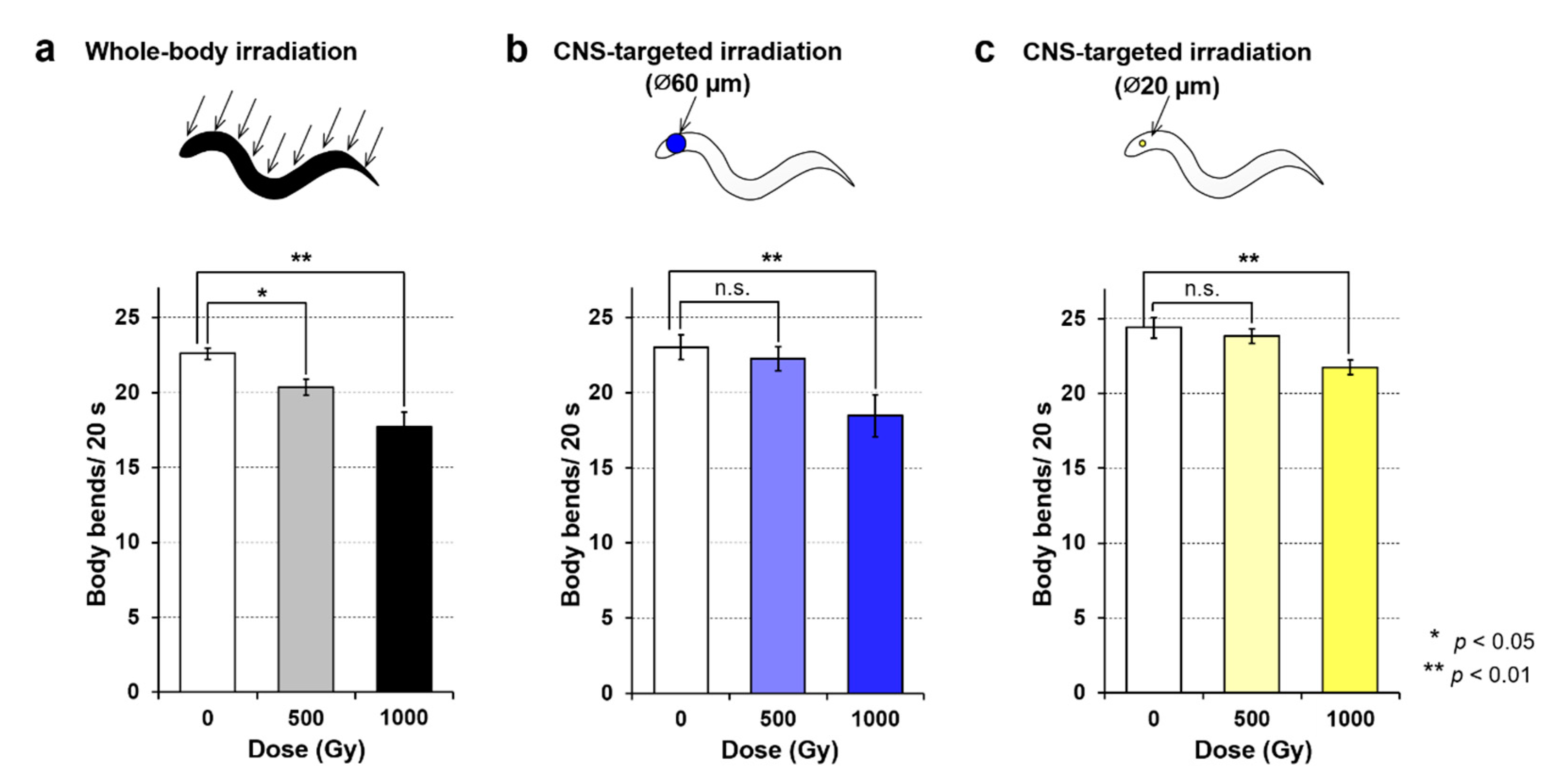 Biology 09 00289 g005