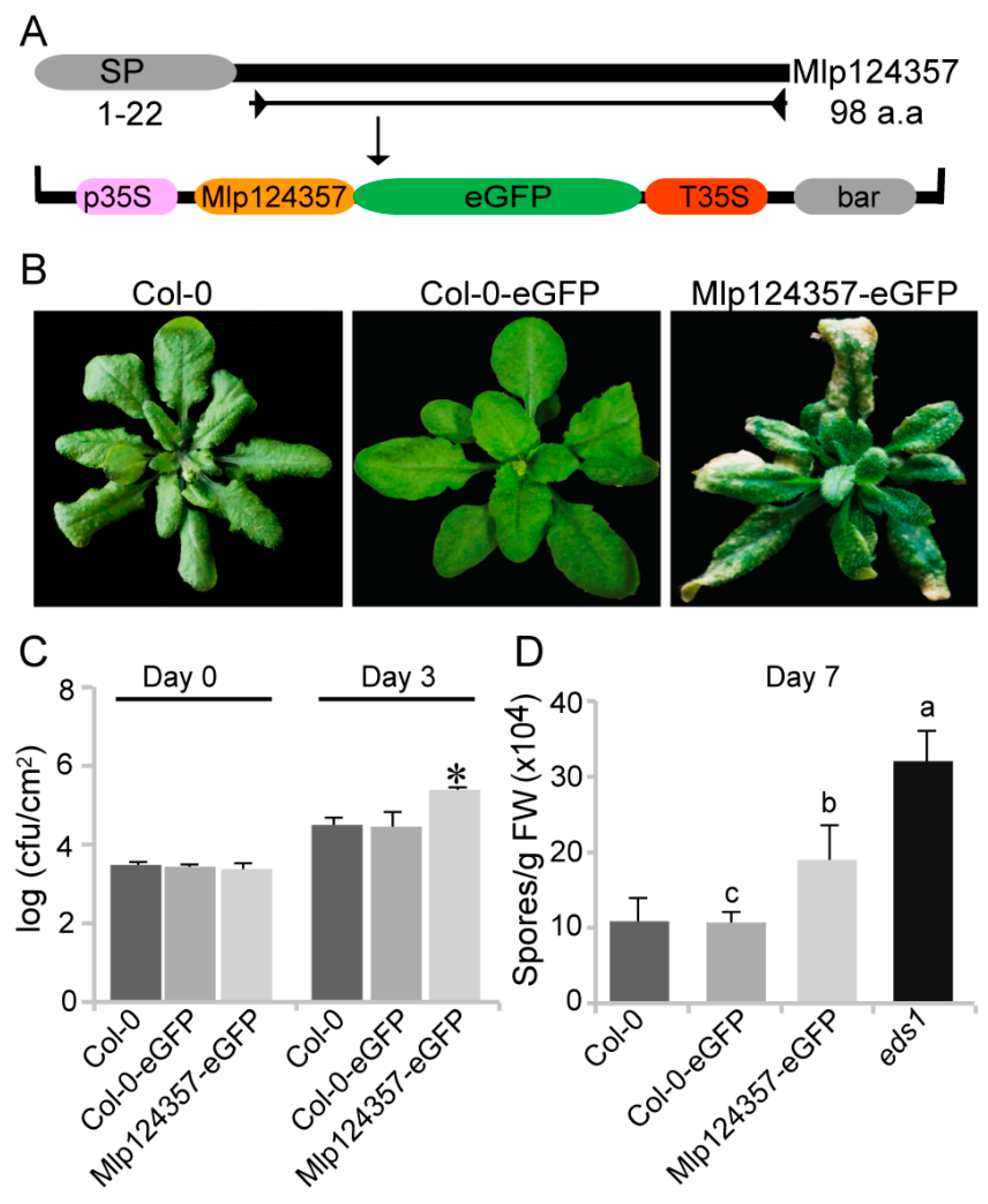 Biology 09 00294 g002