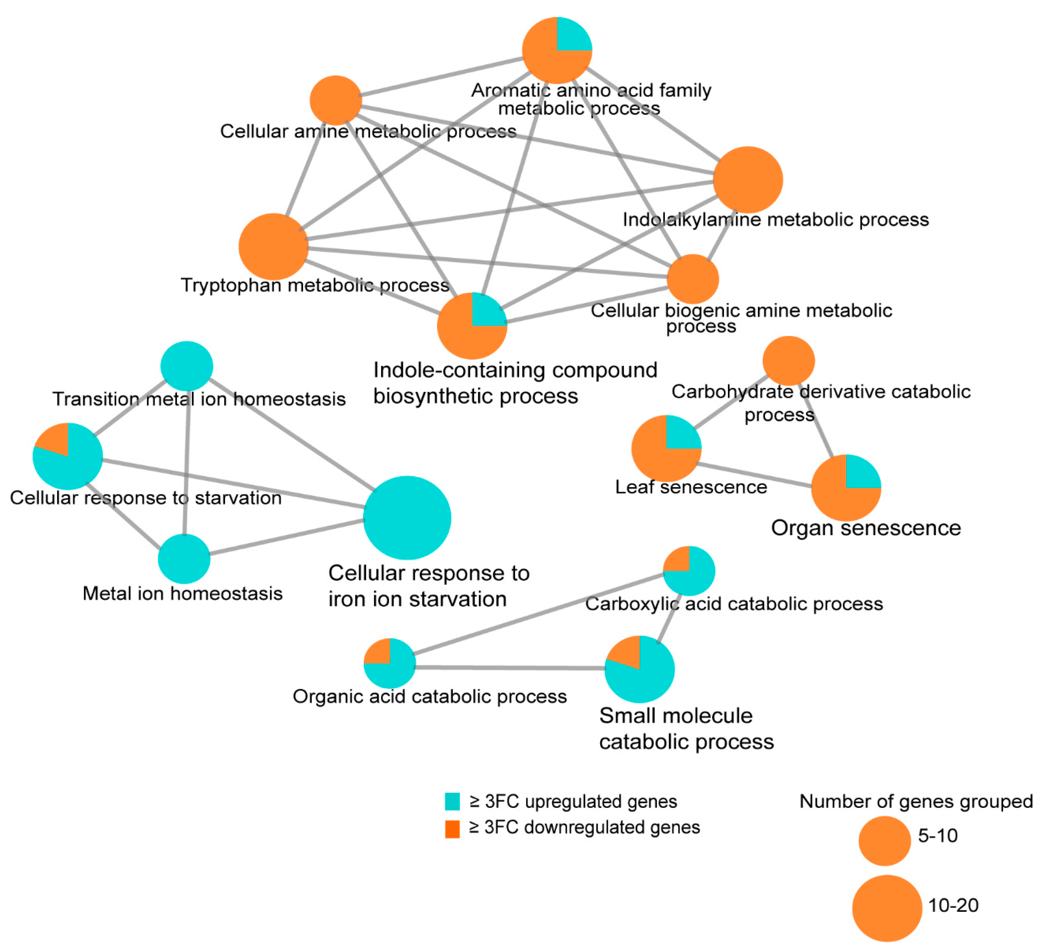 Biology 09 00294 g008