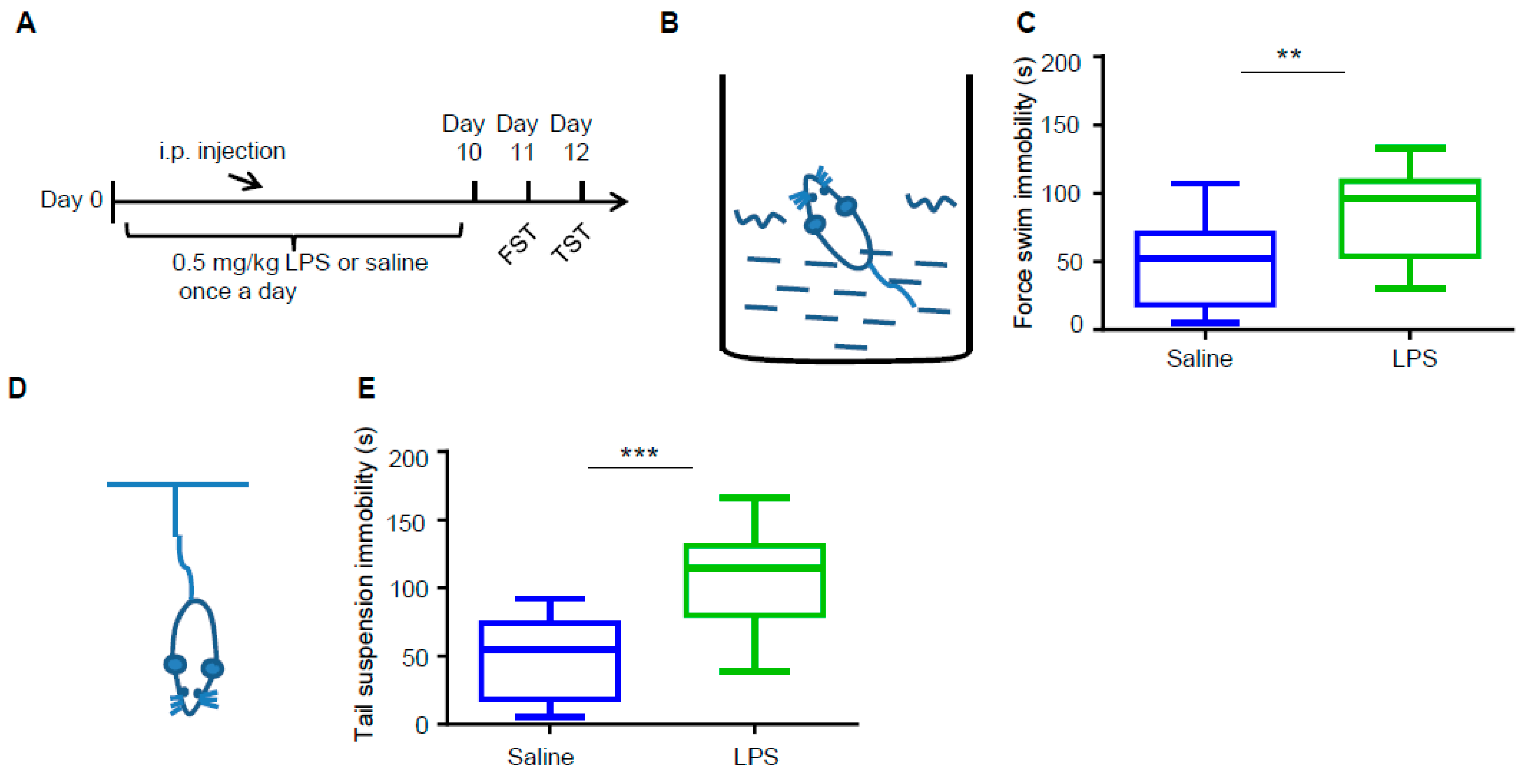 Biology 09 00359 g001