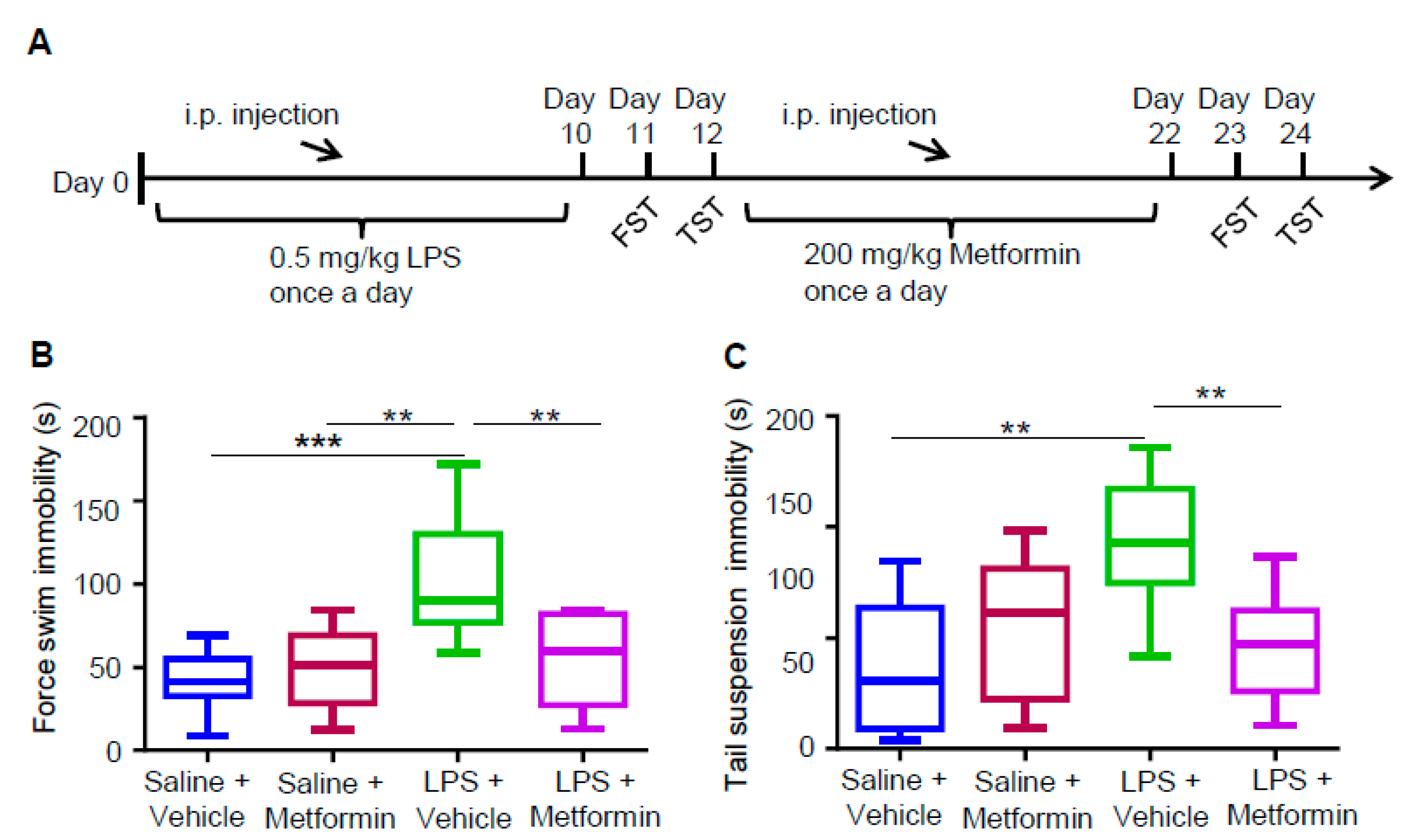 Biology 09 00359 g003