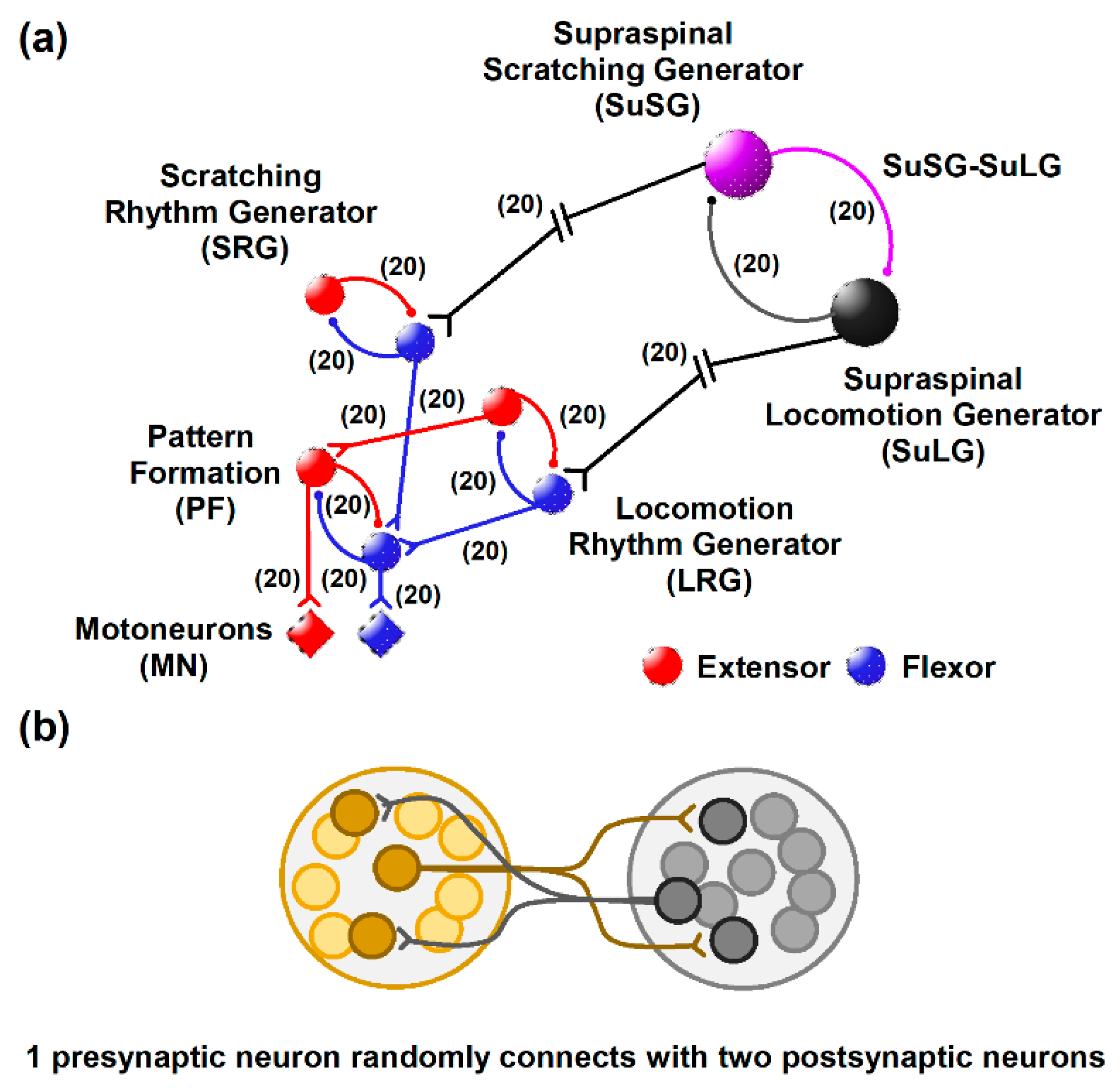 Biology 10 00663 g001