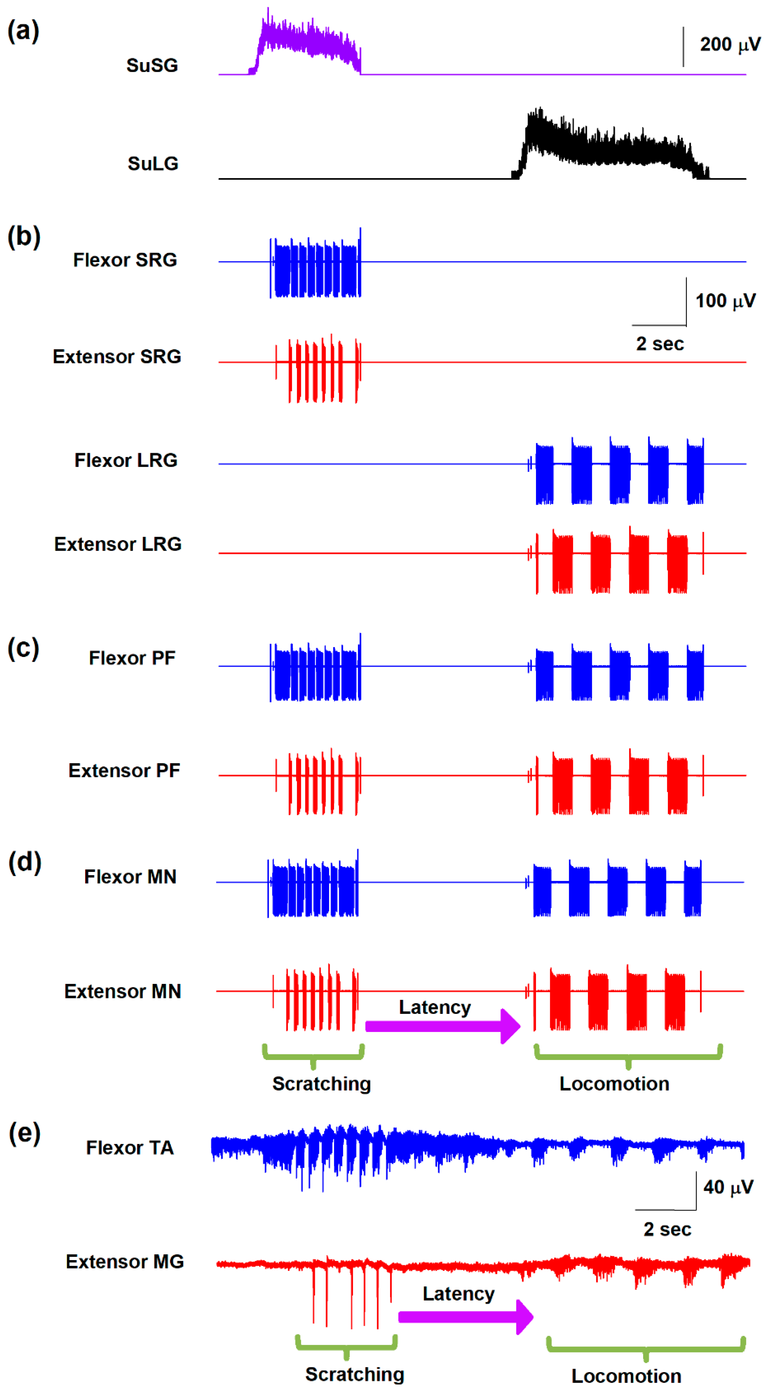 Biology 10 00663 g002