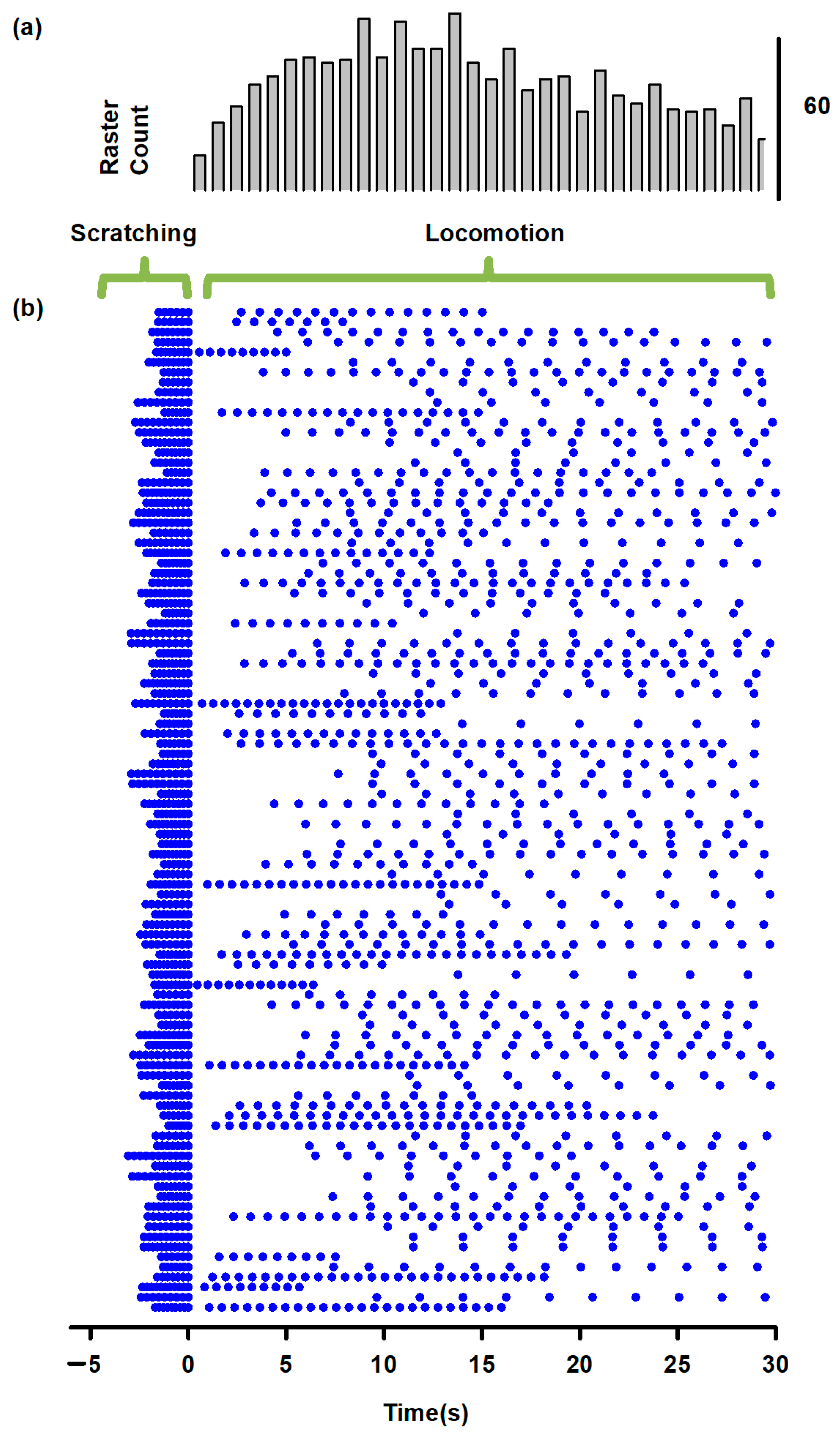 Biology 10 00663 g004