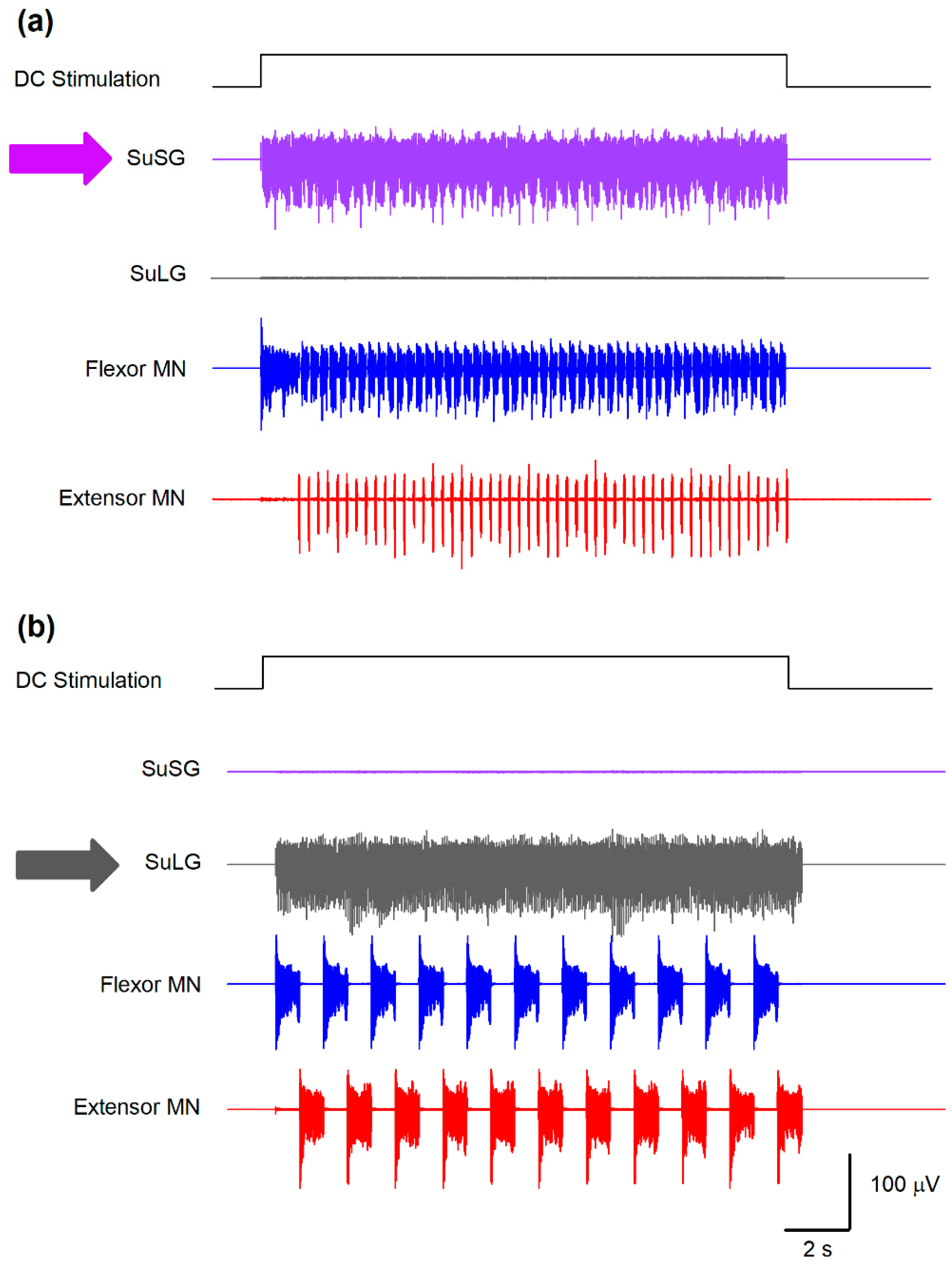 Biology 10 00663 g005