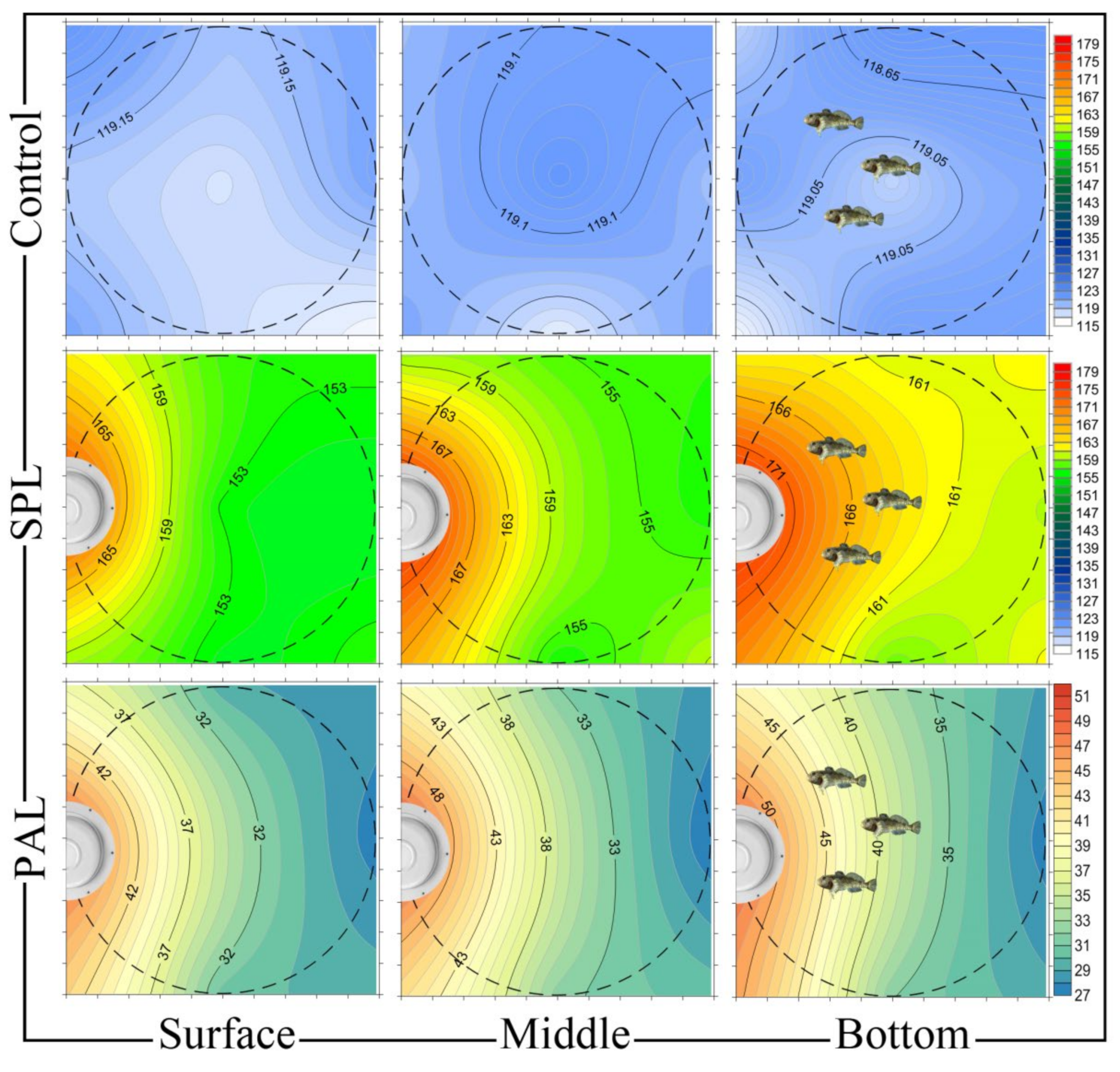 Biology 10 01063 g001