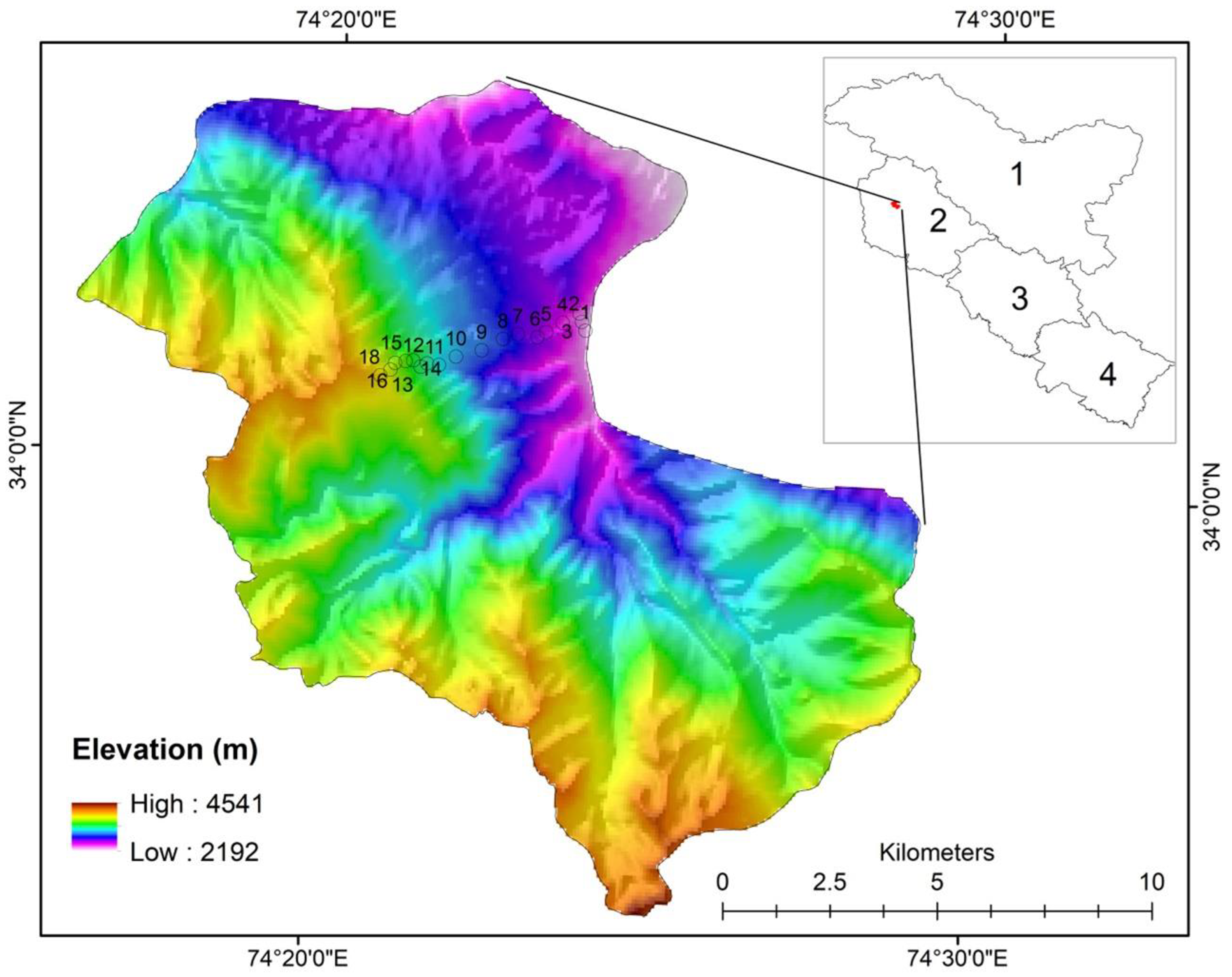 Biology 11 01064 g001