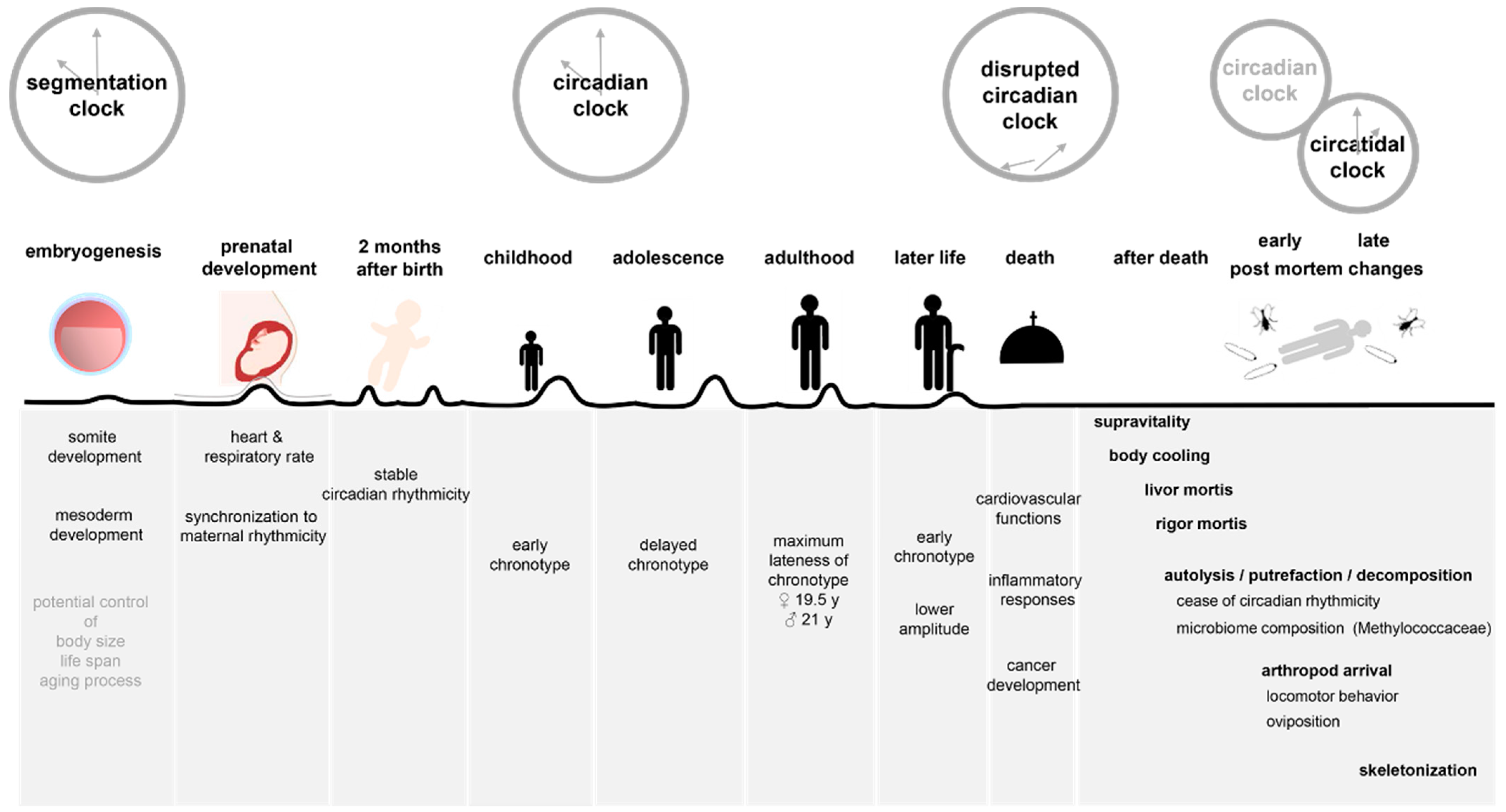 Biology 11 01071 g001