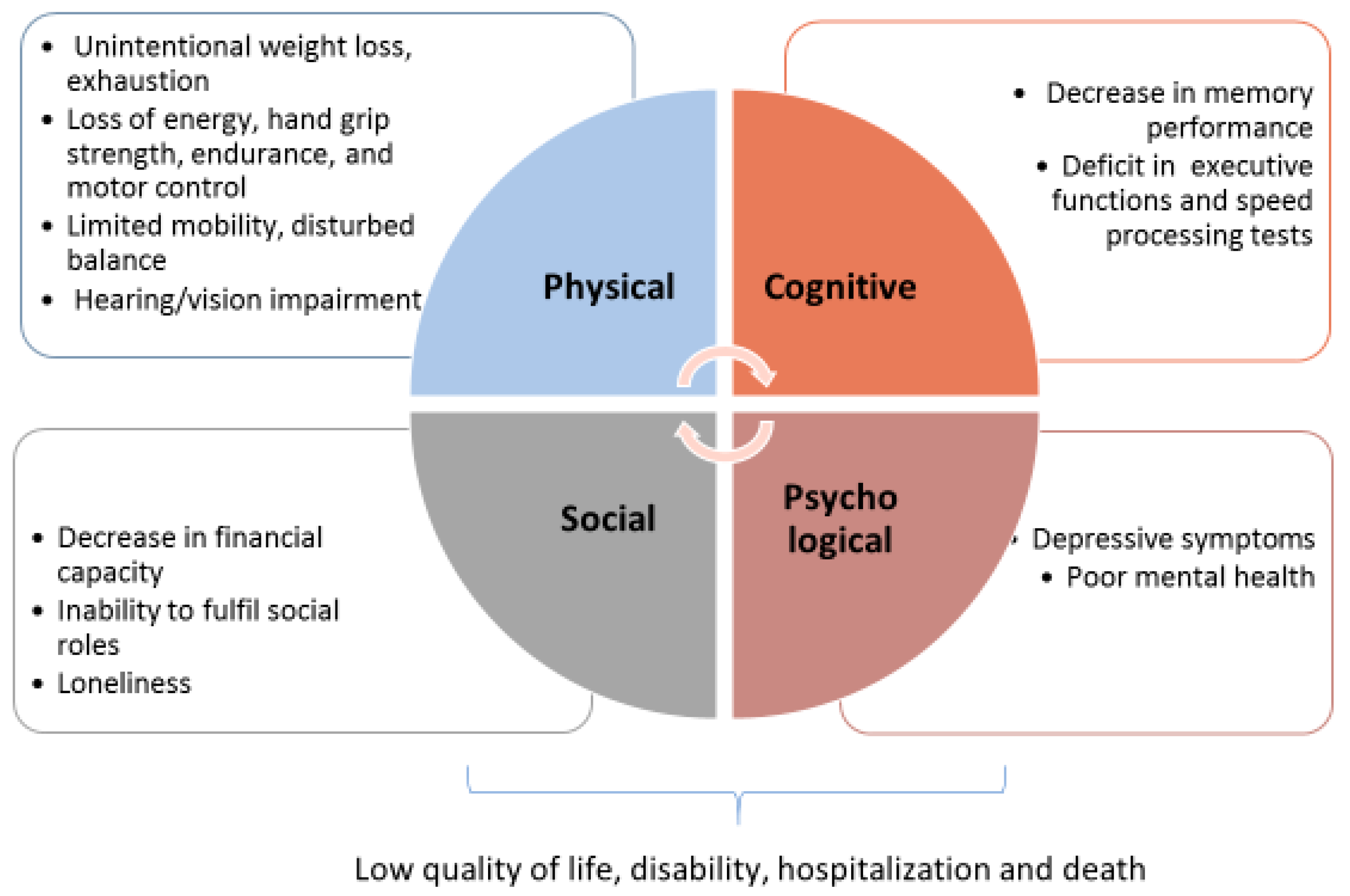 Biology 11 01151 g001