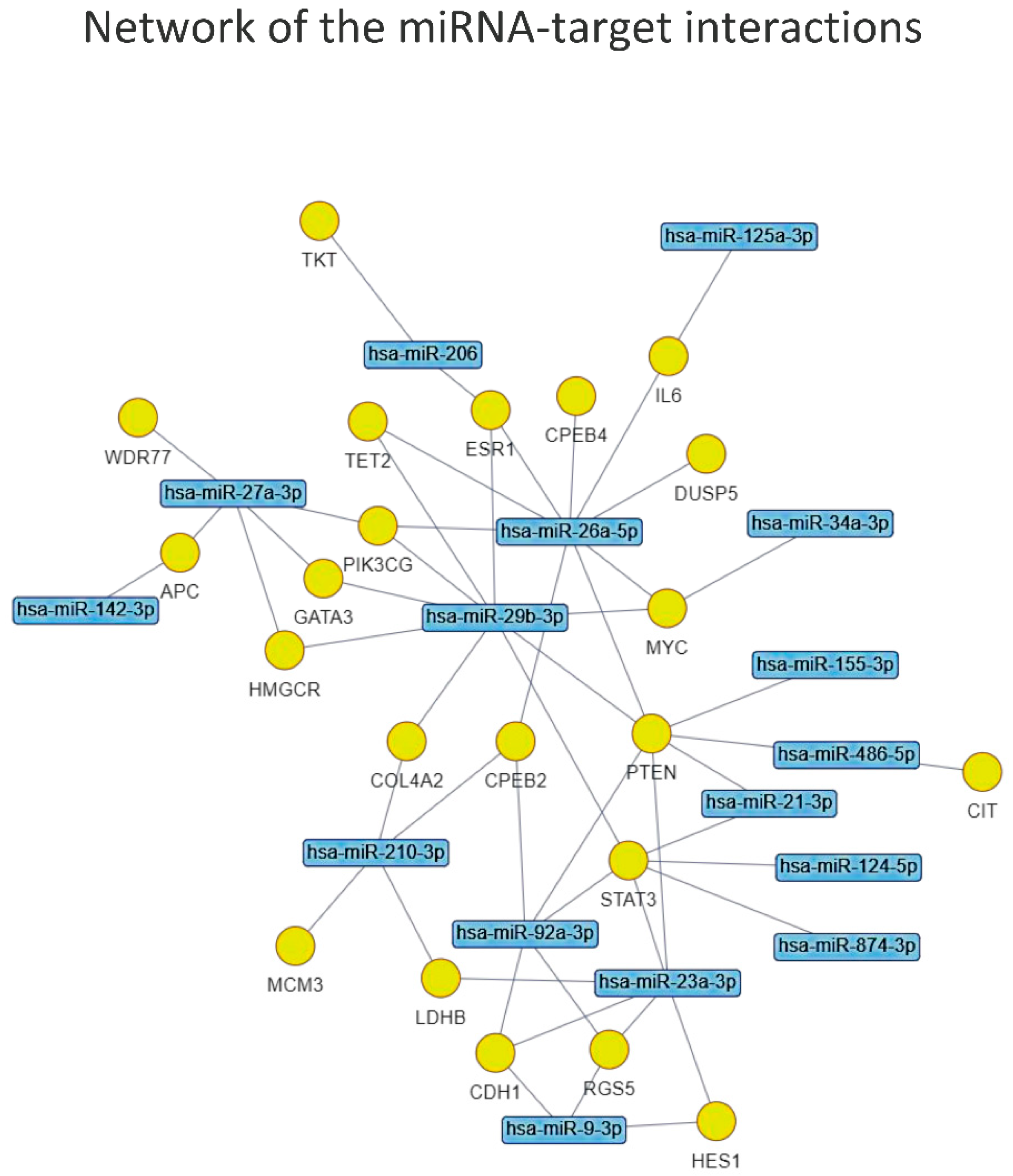 Biology 11 01151 g006