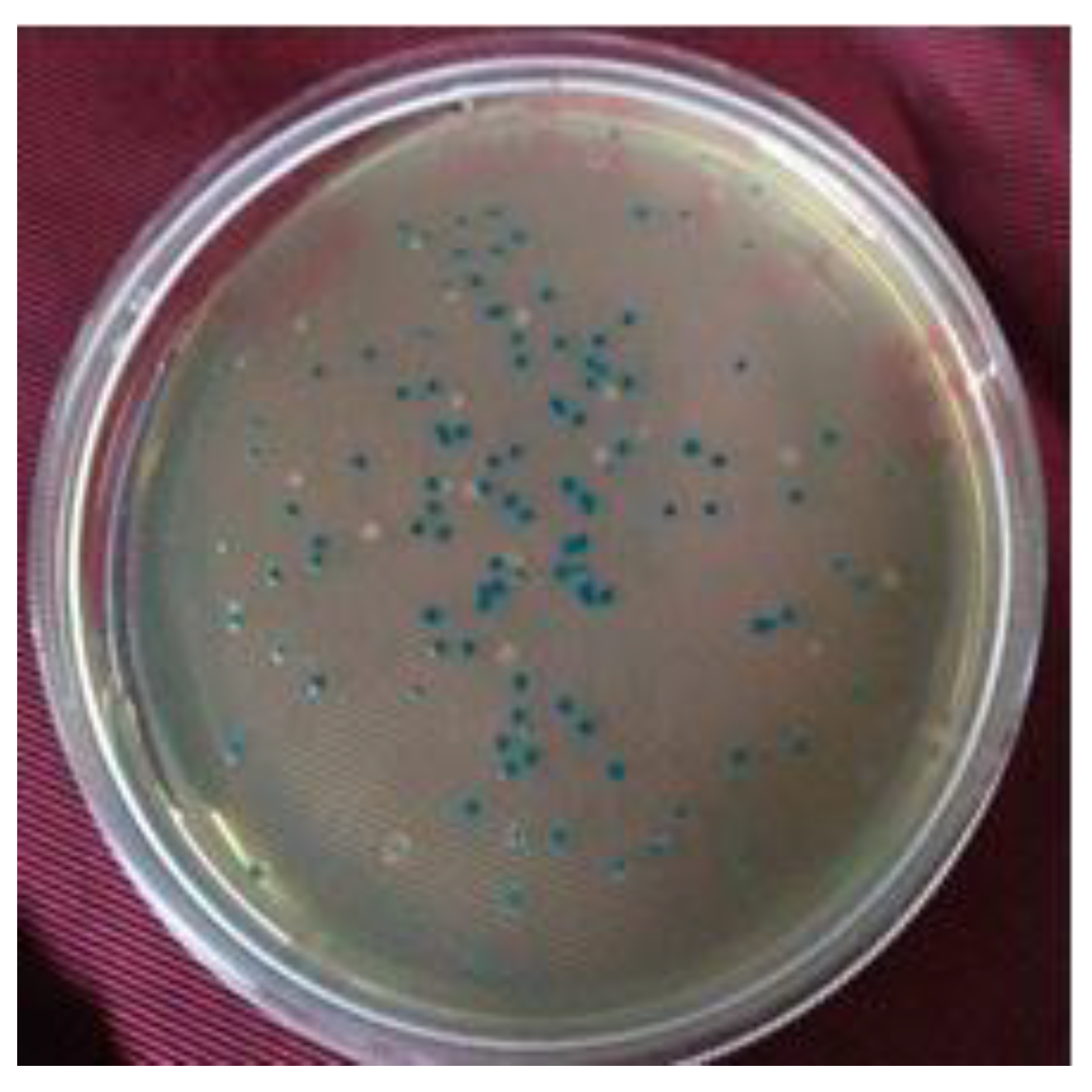 Biology 12 00428 g007