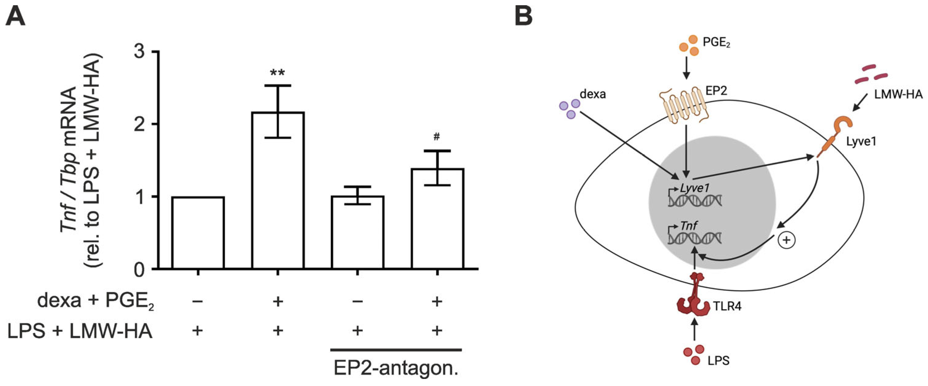 Biology 12 01441 g004