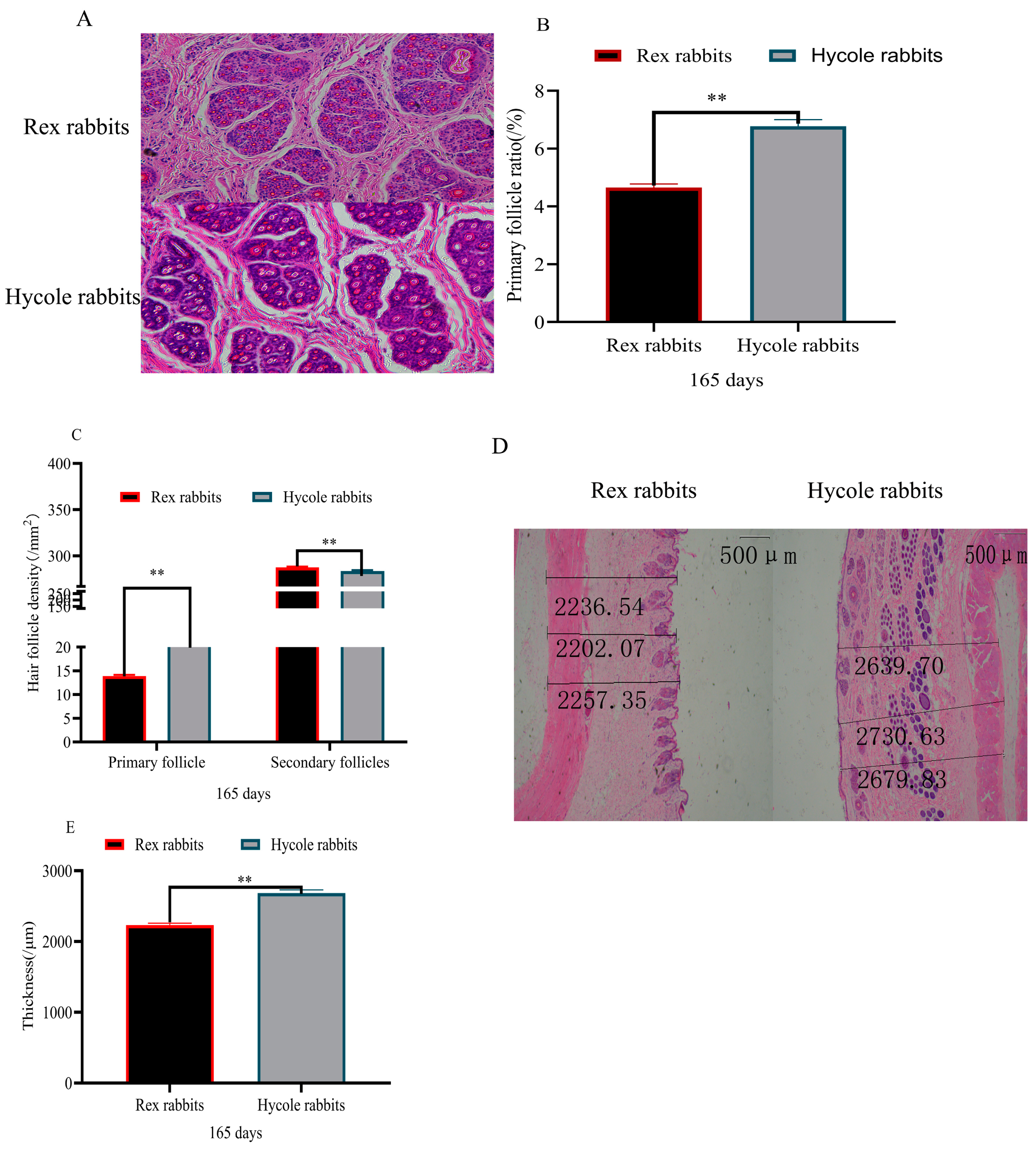 Biology 12 01448 g002