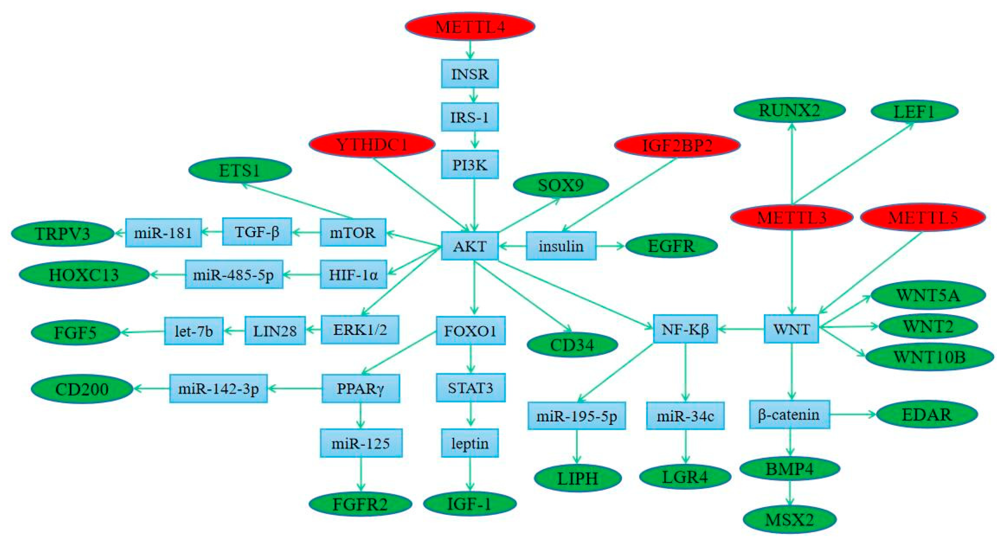 Biology 12 01448 g008