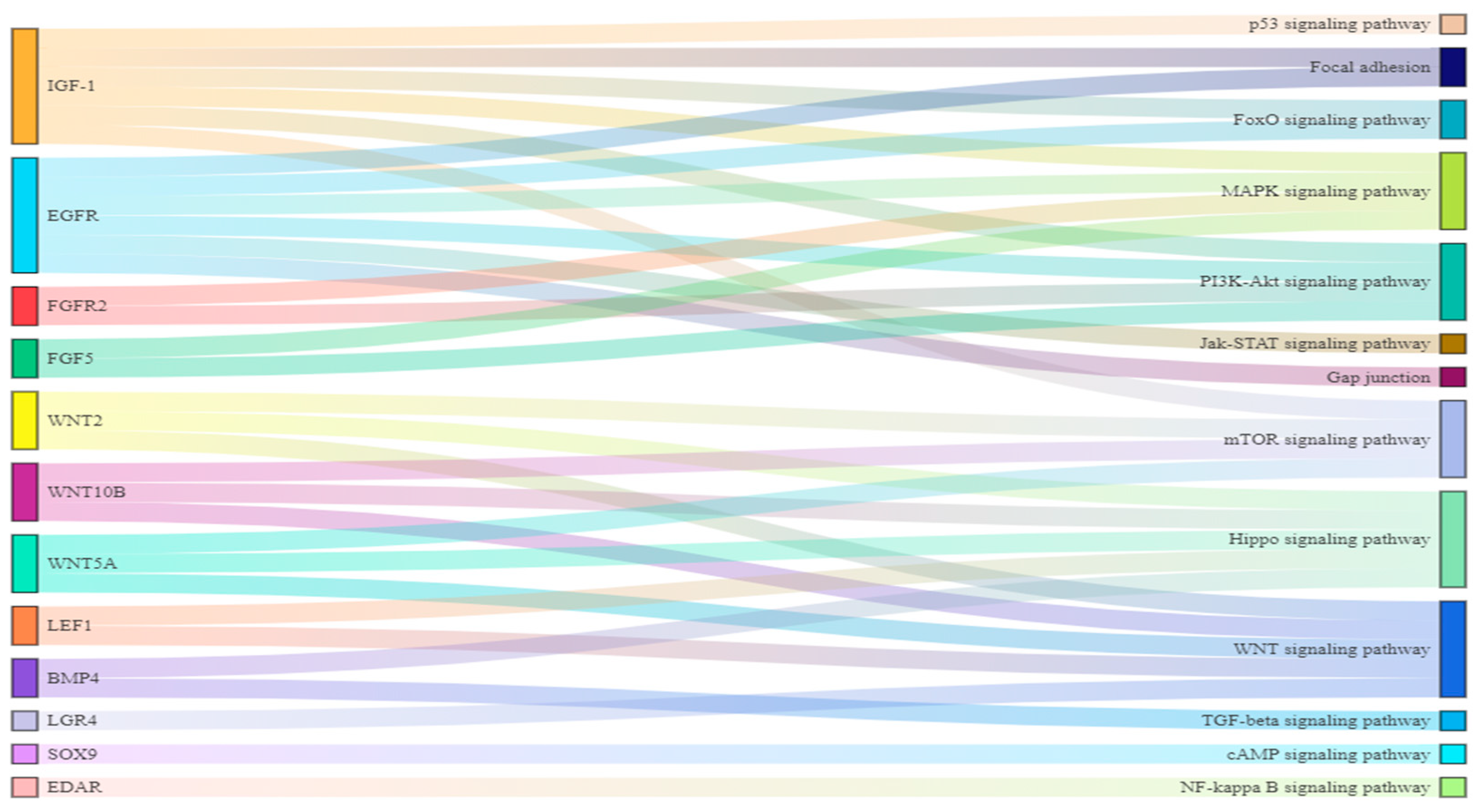 Biology 12 01448 g009