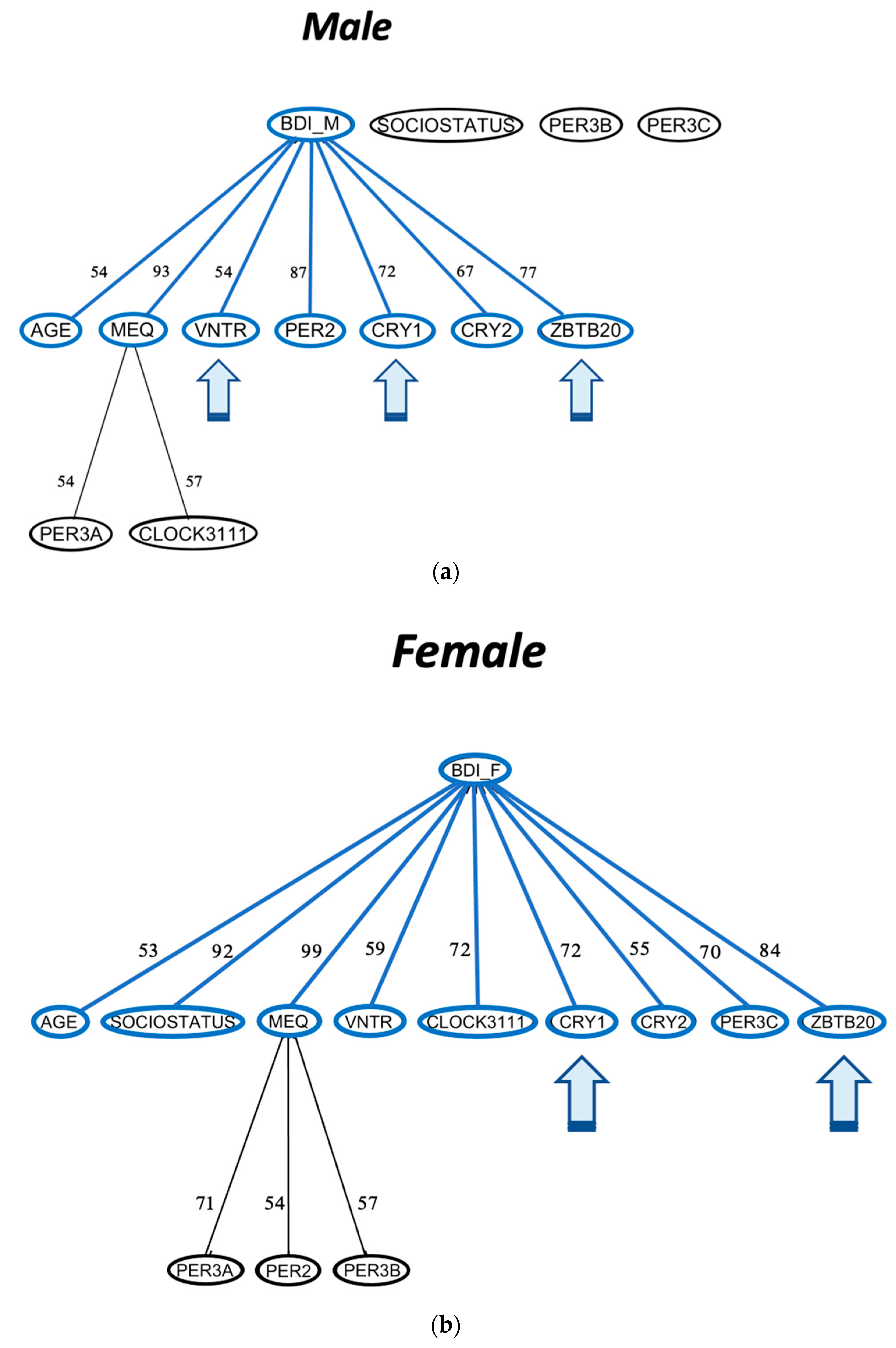 Biology 12 01532 g008