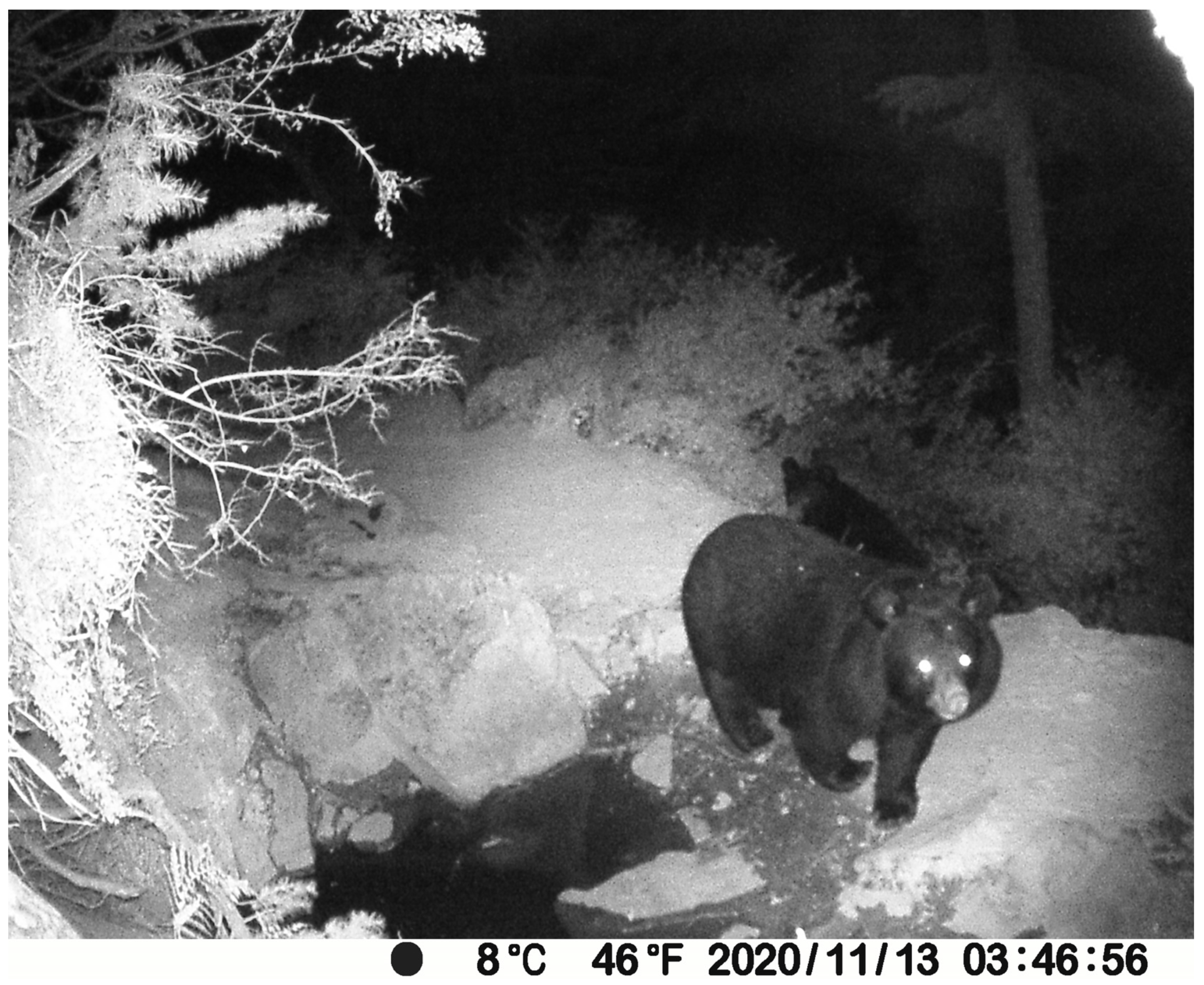 Biology 13 00341 g003