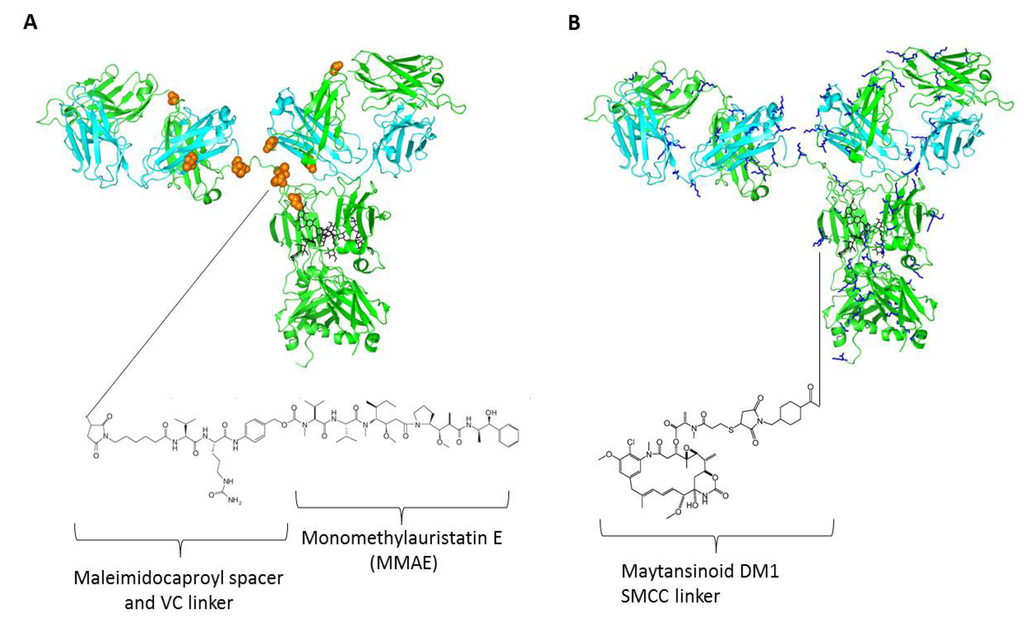 Biomedicines 02 00001 g001 1024