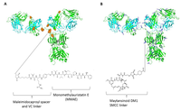 Biomedicines 02 00001 g001 200