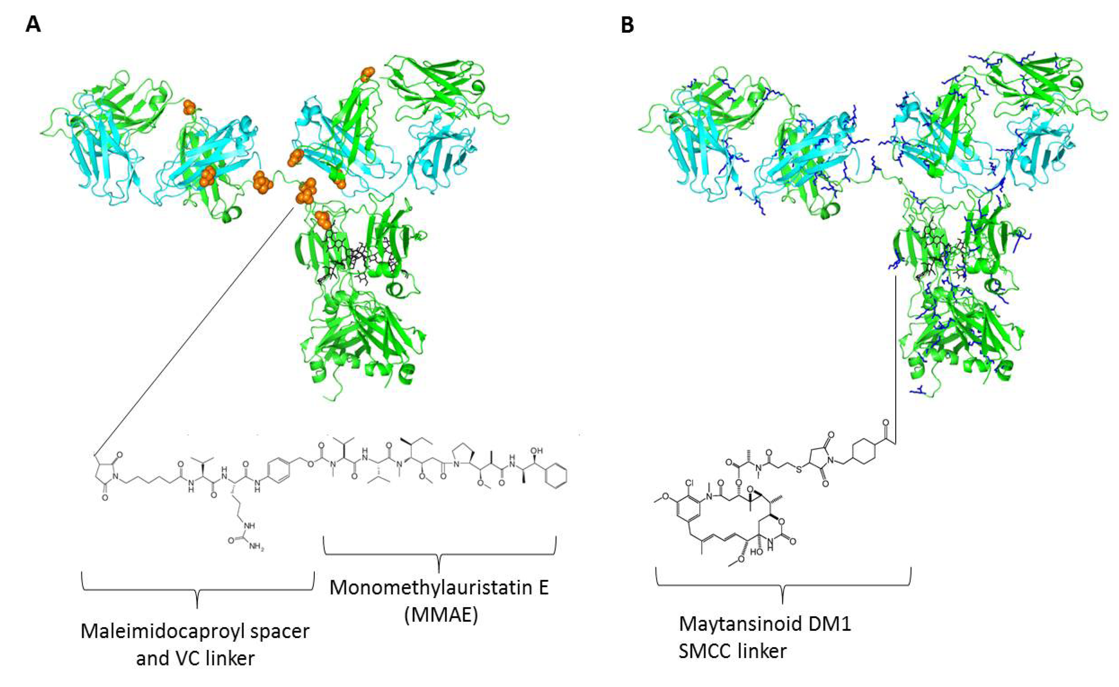 Biomedicines 02 00001 g001