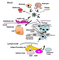 Biomedicines 02 00036 g001 200