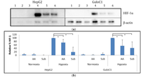 Biomedicines 02 00098 g005 200