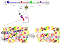 Biomedicines 02 00110 g004 200