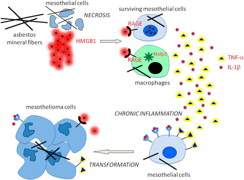 asbestos and gastric cancer