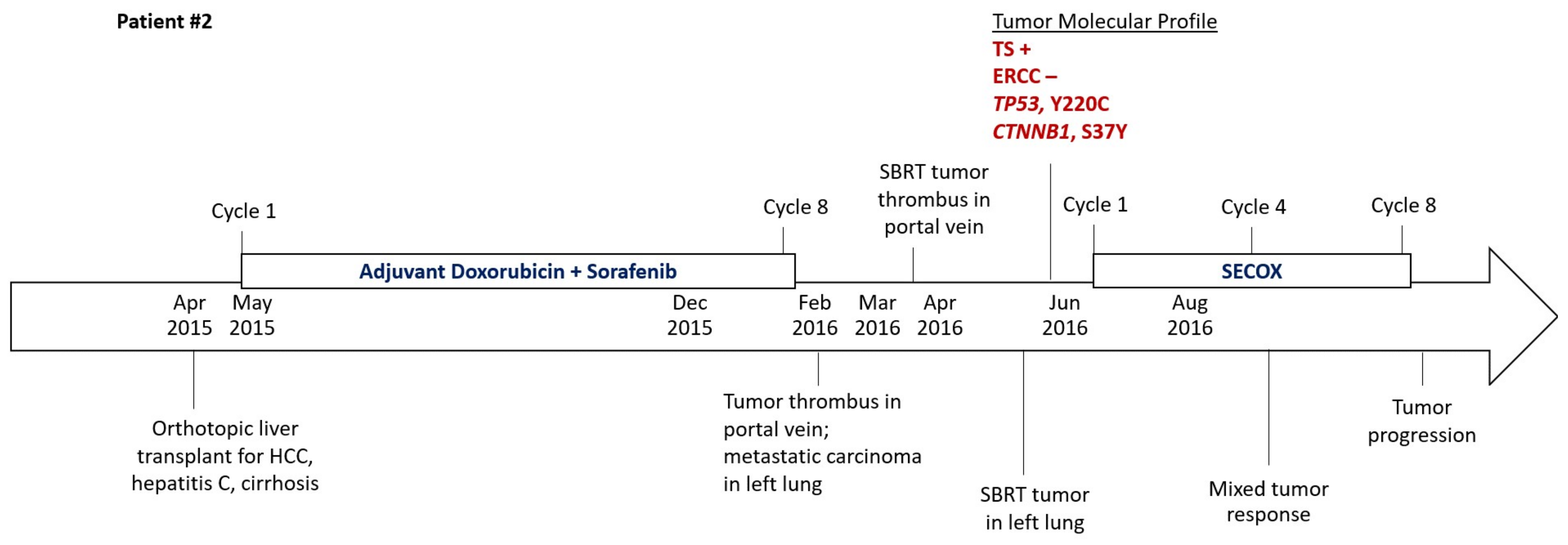 Biomedicines 06 00046 g006b