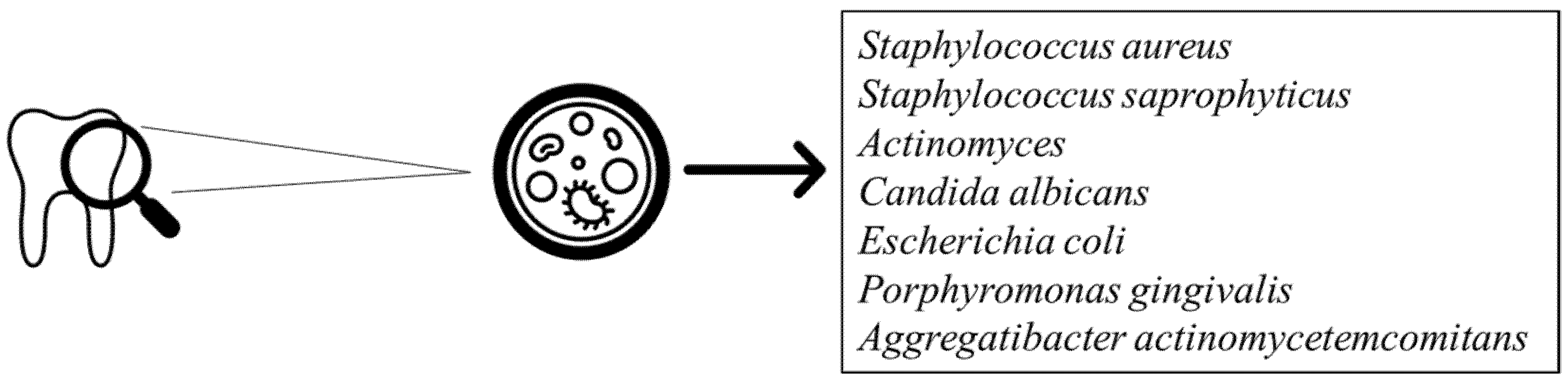 Biomedicines 08 00504 g002