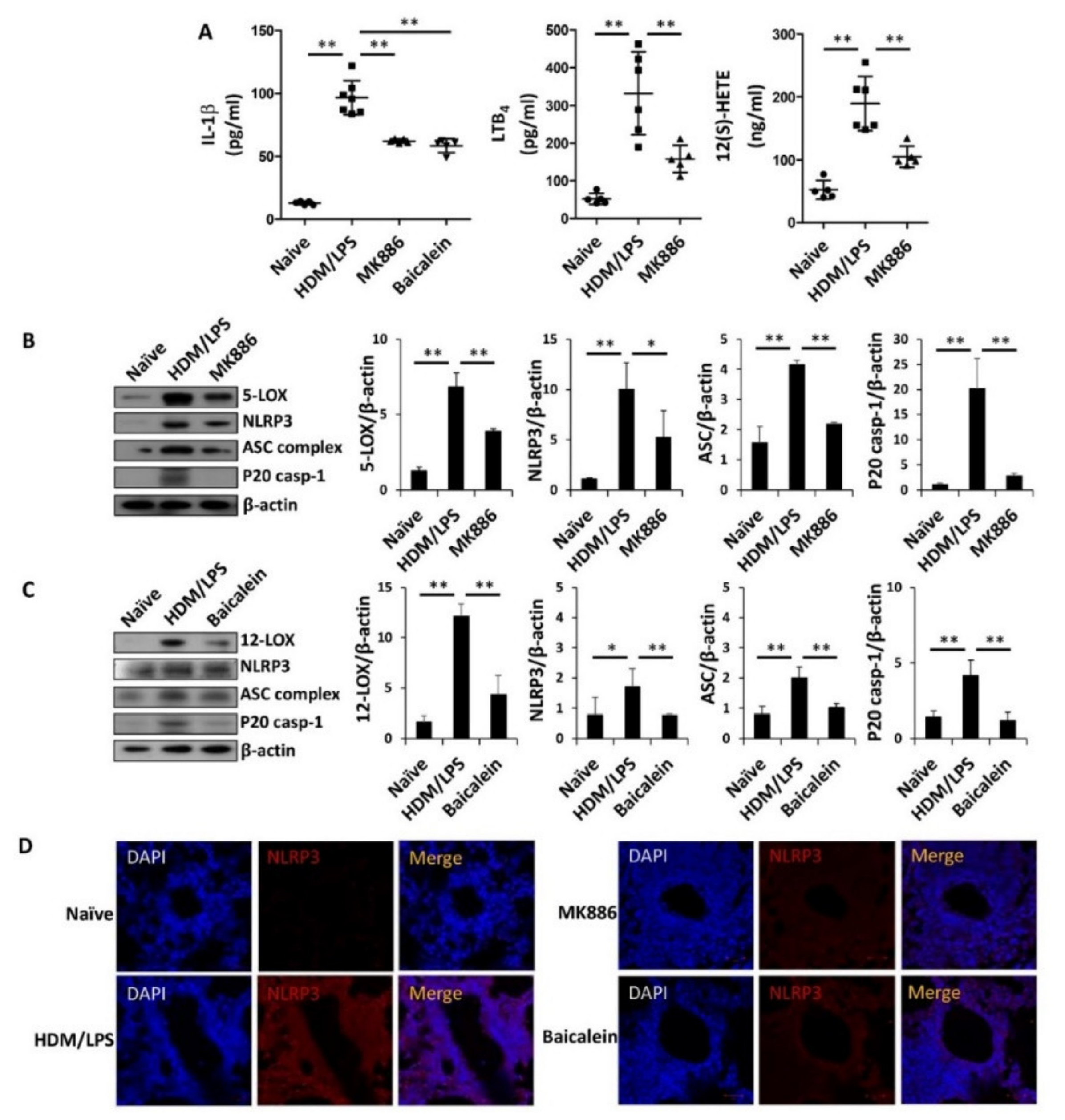 Biomedicines 09 00535 g004a