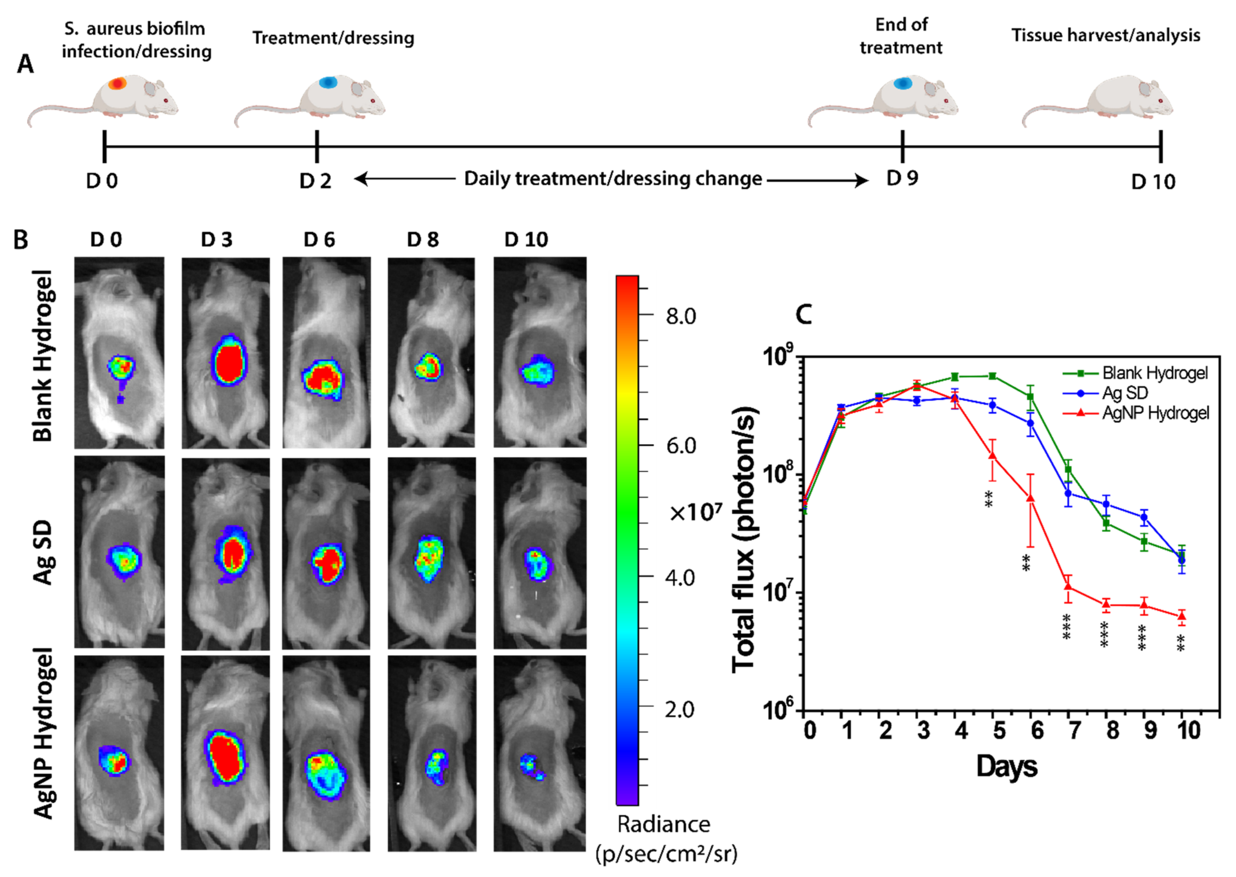 Biomedicines 09 01182 g004