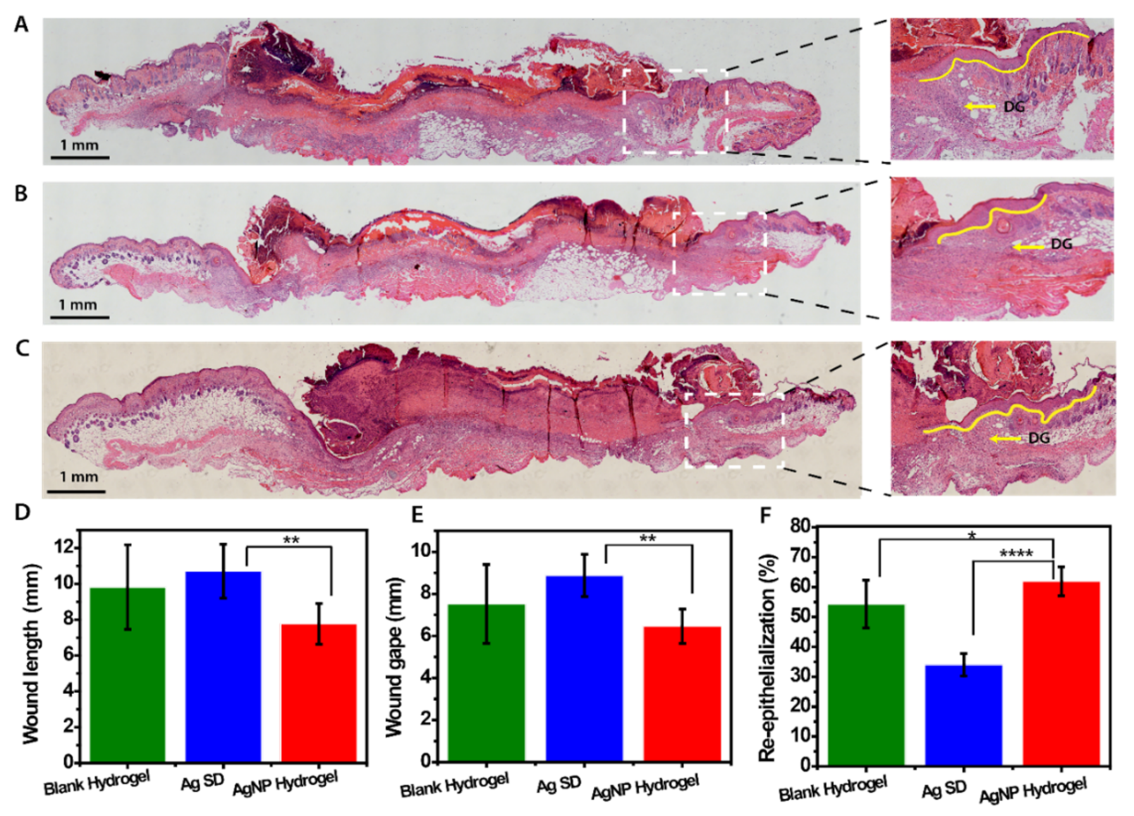 Biomedicines 09 01182 g007