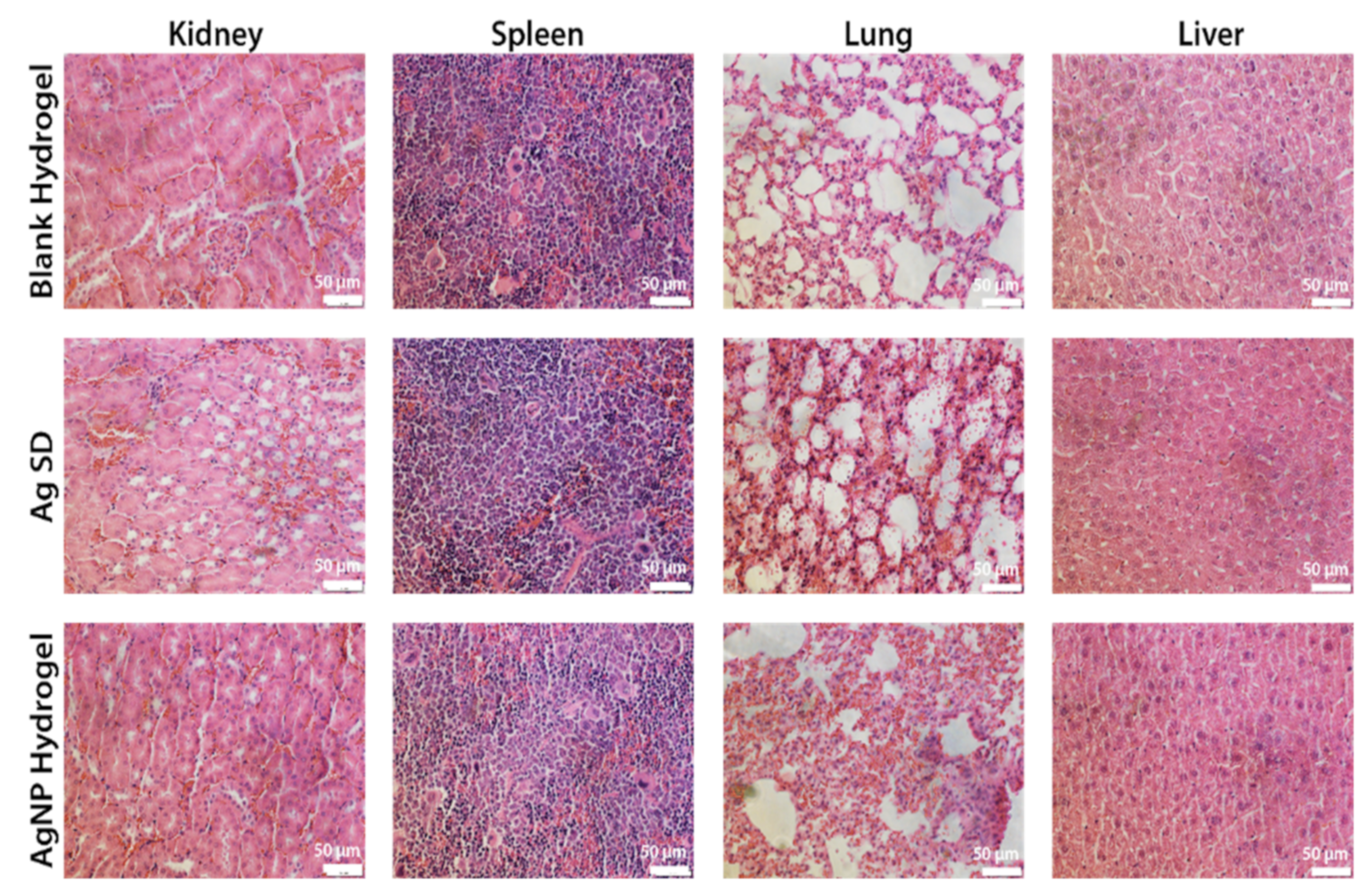 Biomedicines 09 01182 g009