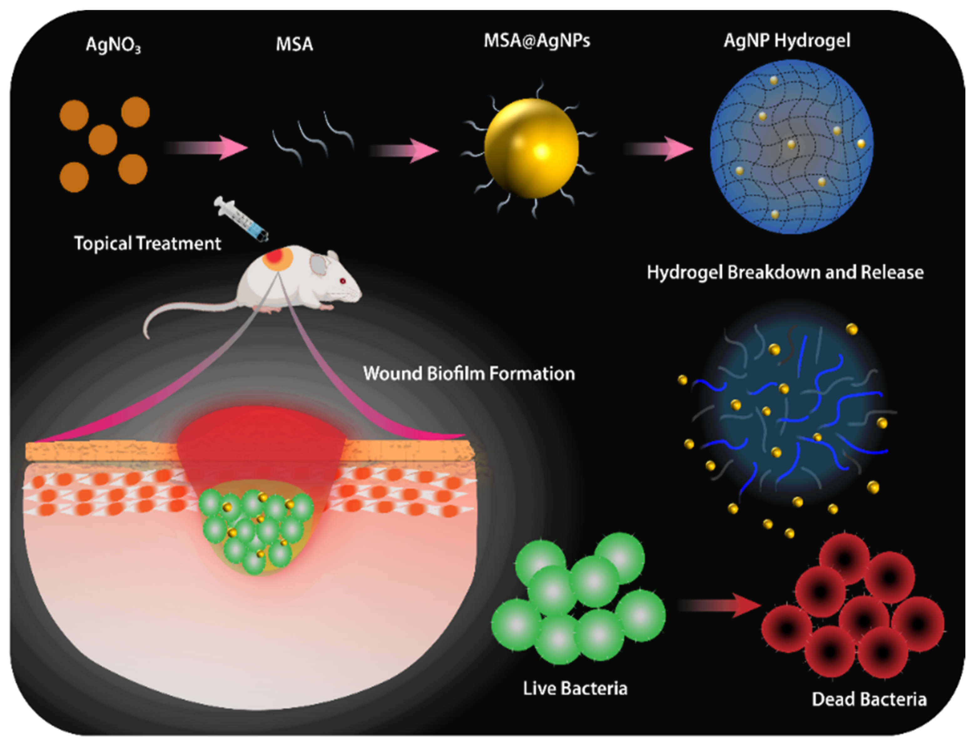 Biomedicines 09 01182 sch001
