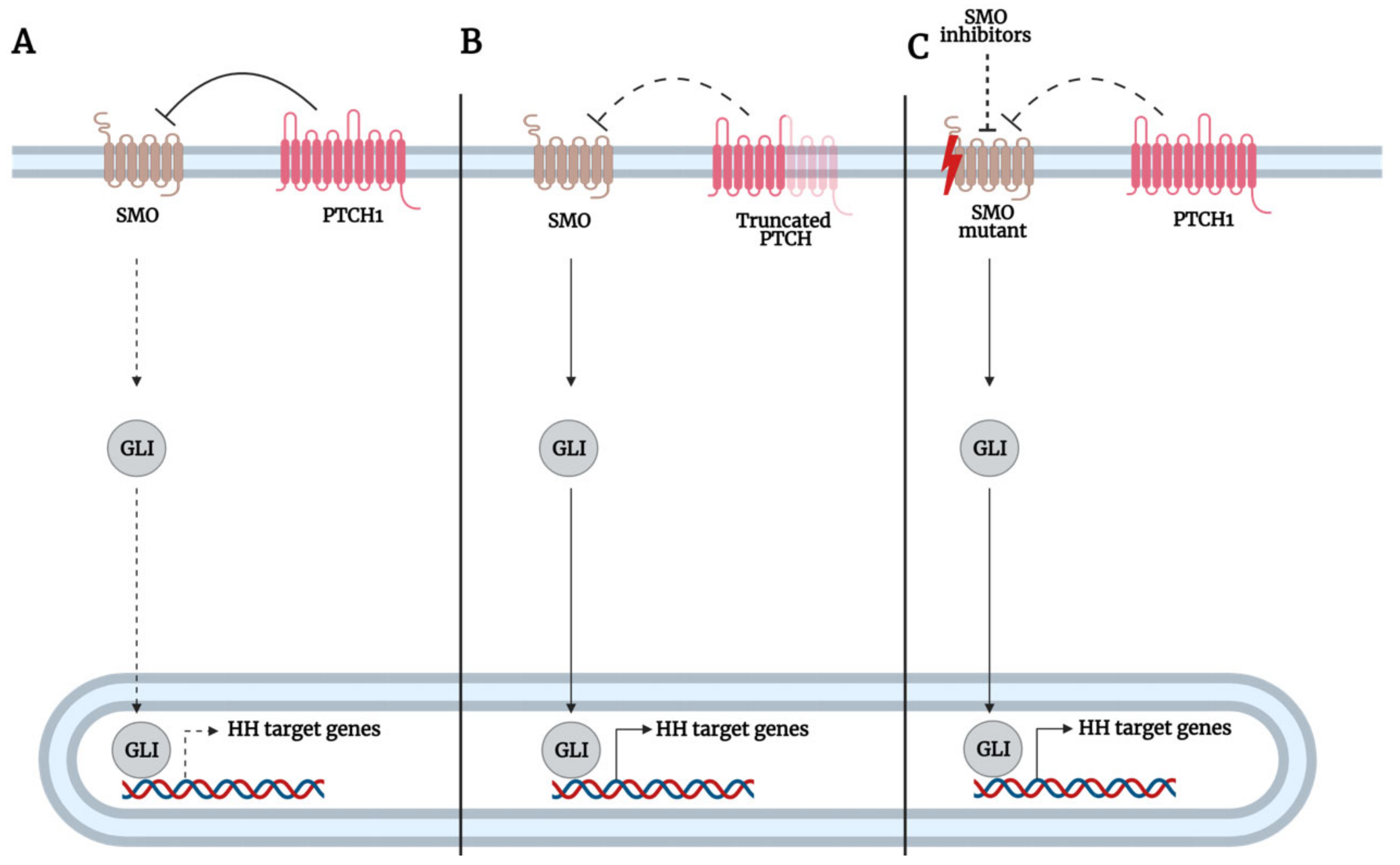 Biomedicines 09 01188 g004