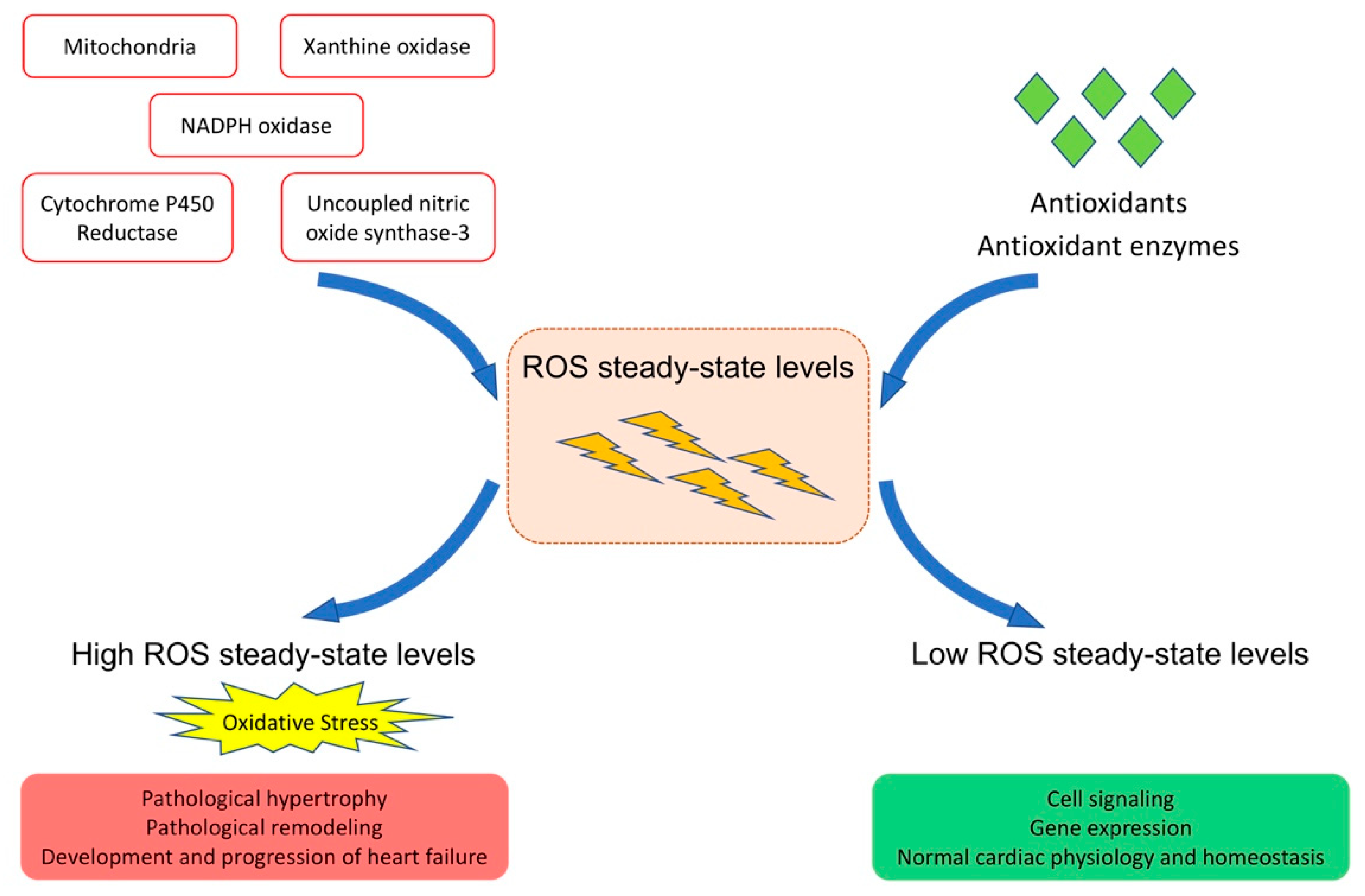 Biomedicines 09 01645 g001