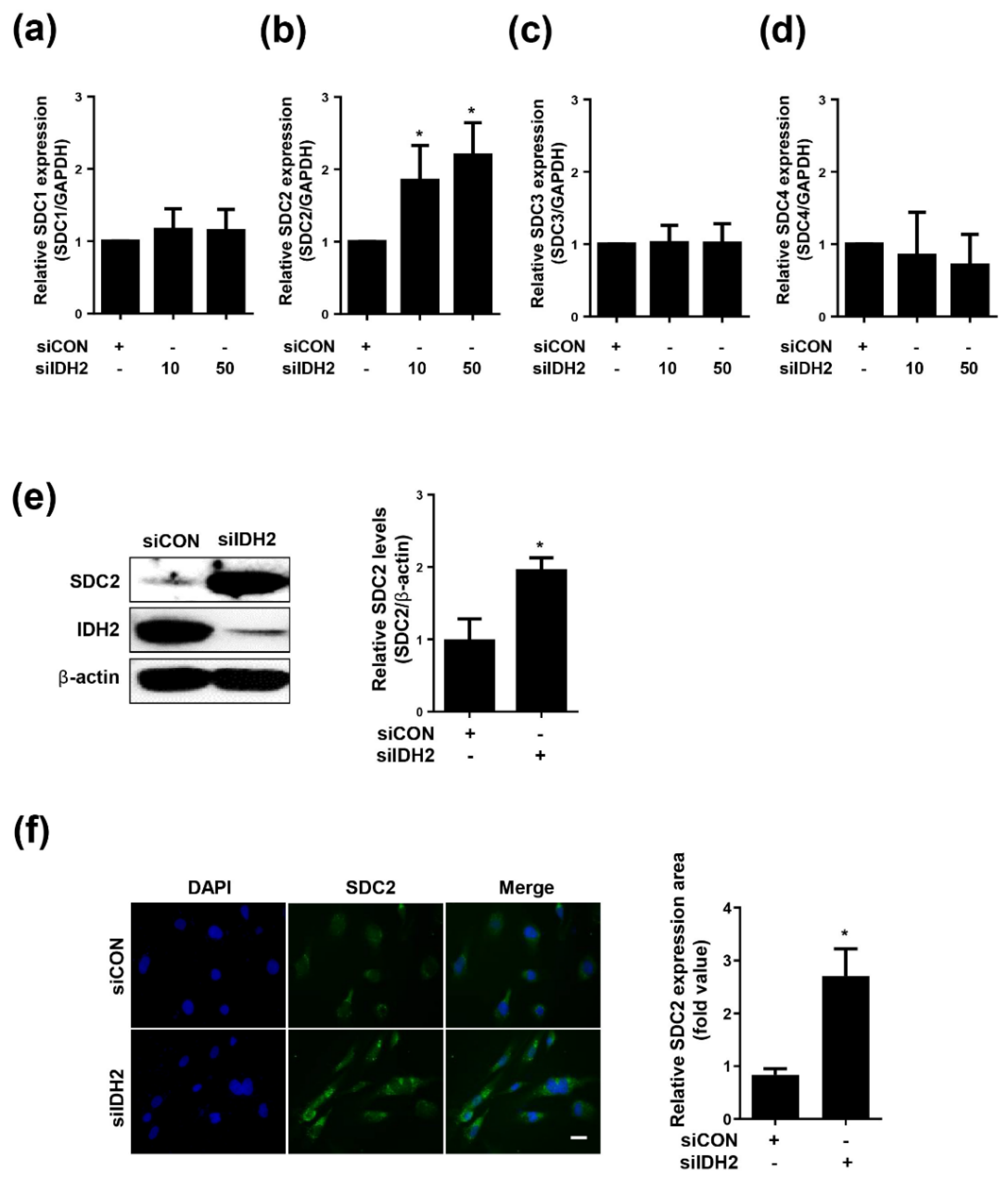 Biomedicines 10 00187 g001 Biomedicines 10 00187 g001