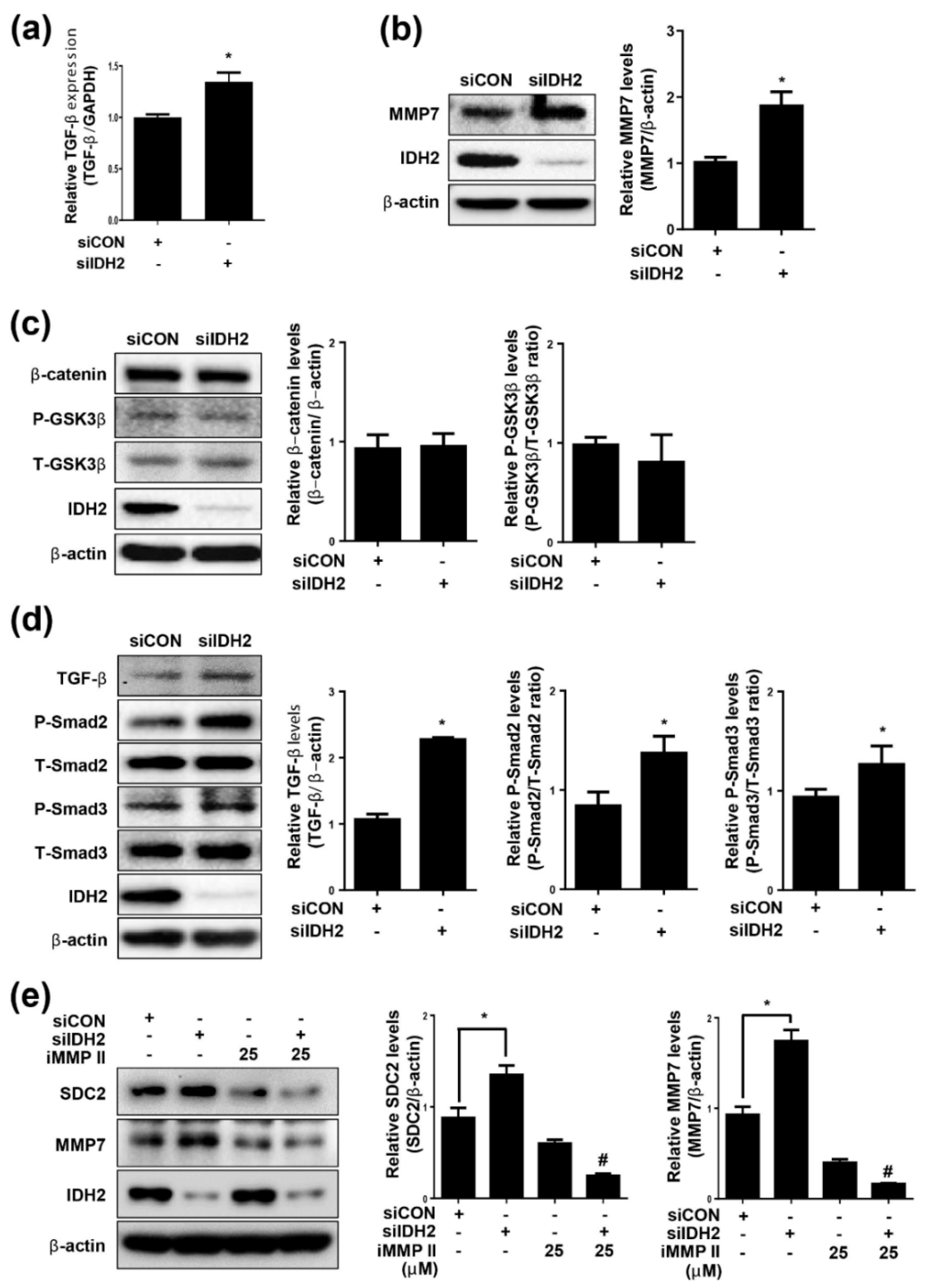 Biomedicines 10 00187 g002 Biomedicines 10 00187 g002