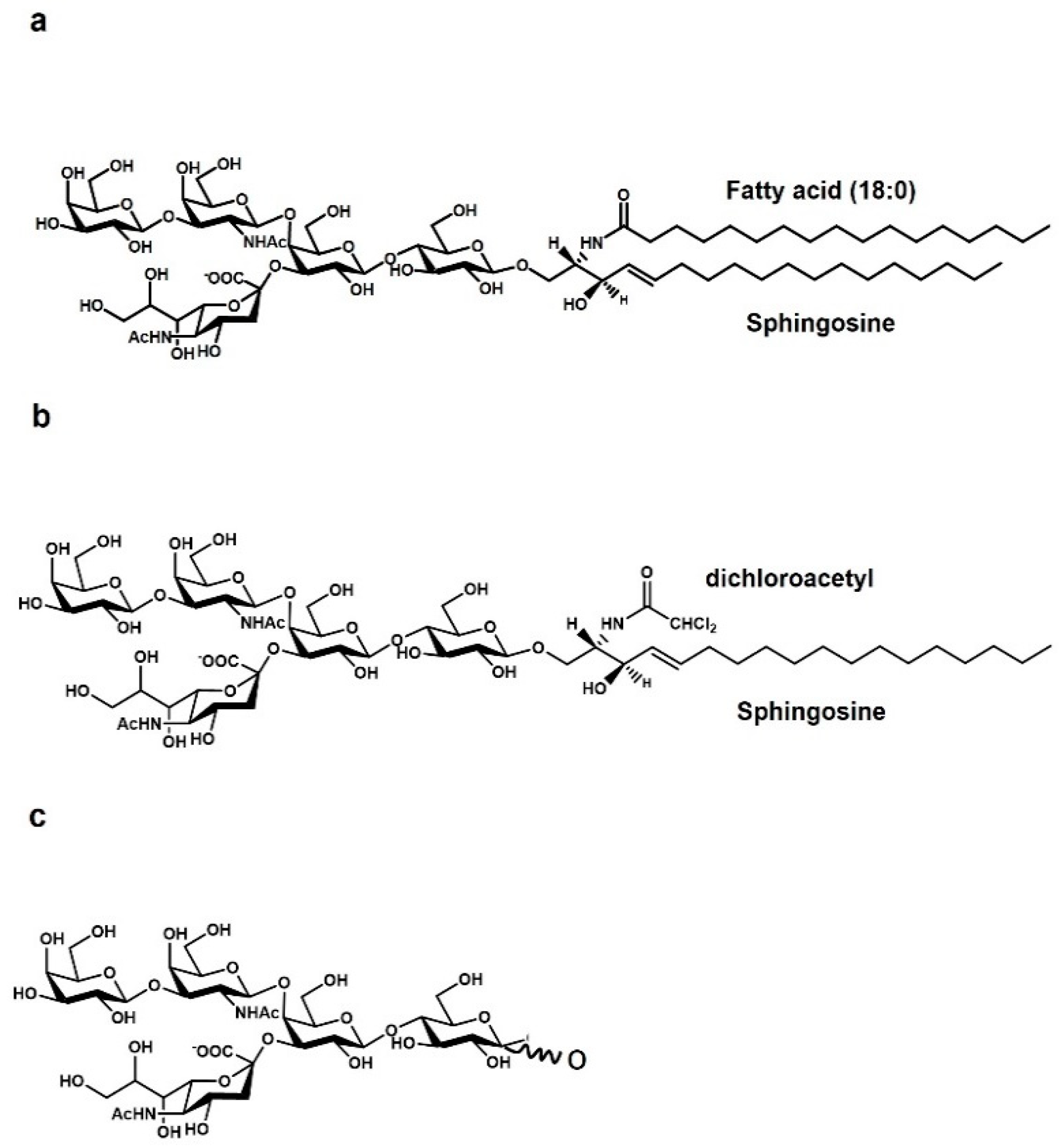 Biomedicines 10 00363 g001