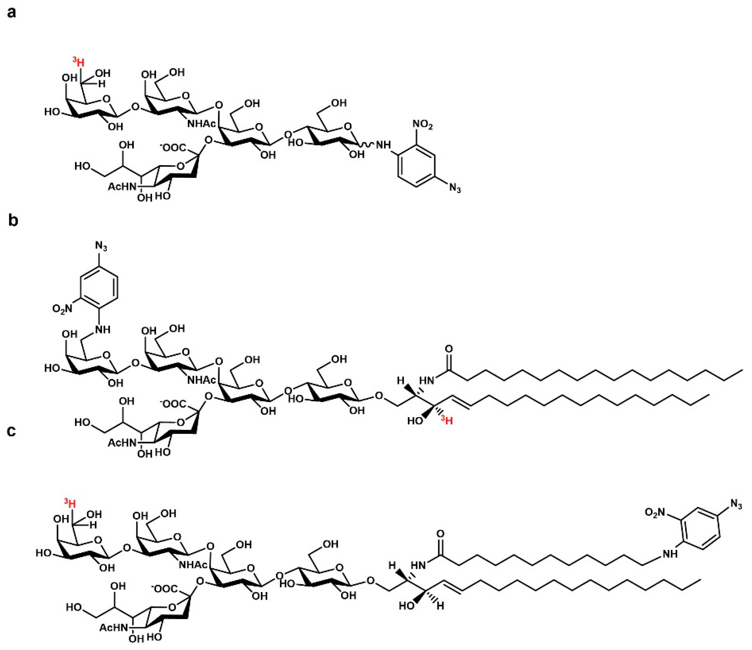 Biomedicines 10 00363 g002