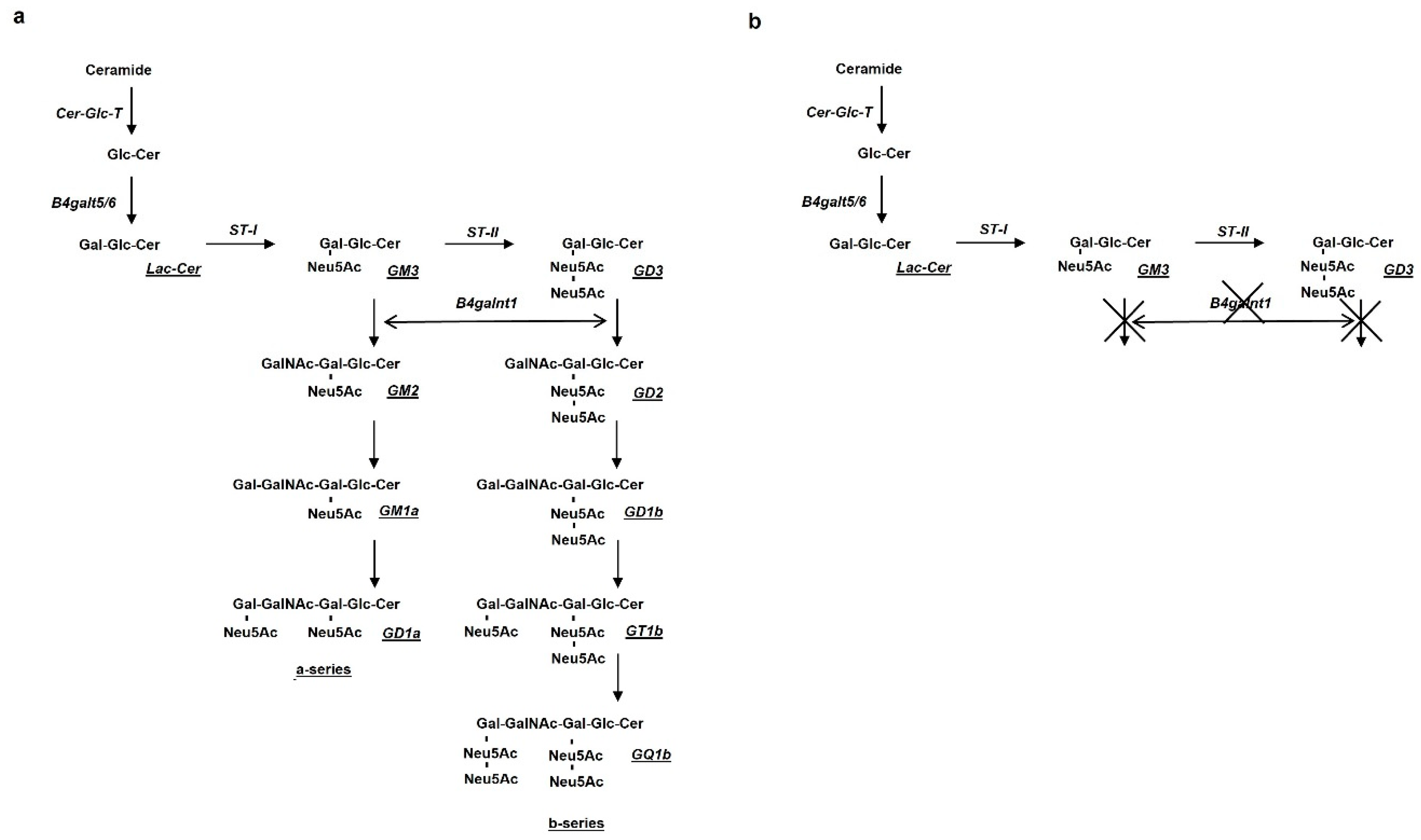 Biomedicines 10 00363 g003