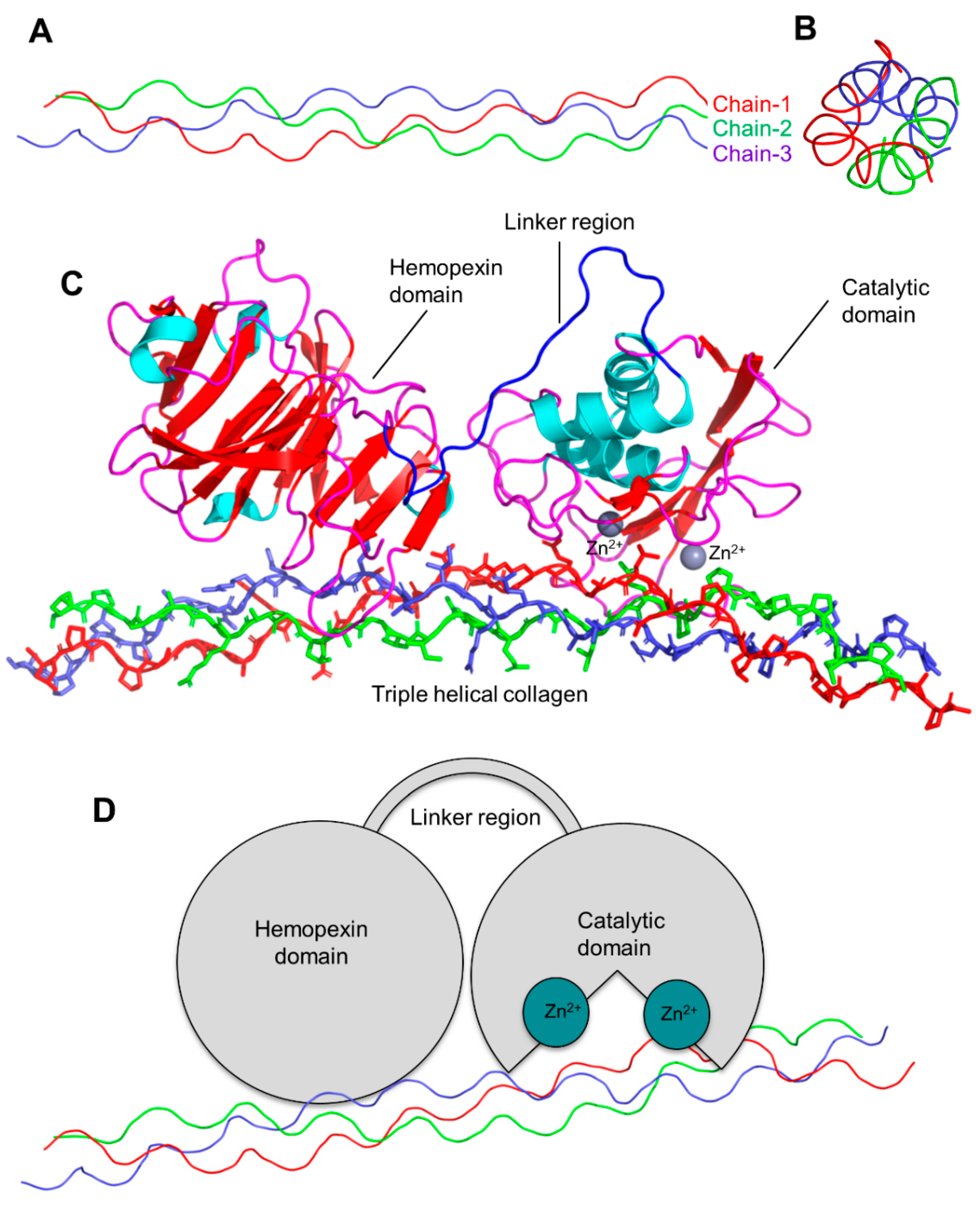 Biomedicines 10 02477 g003