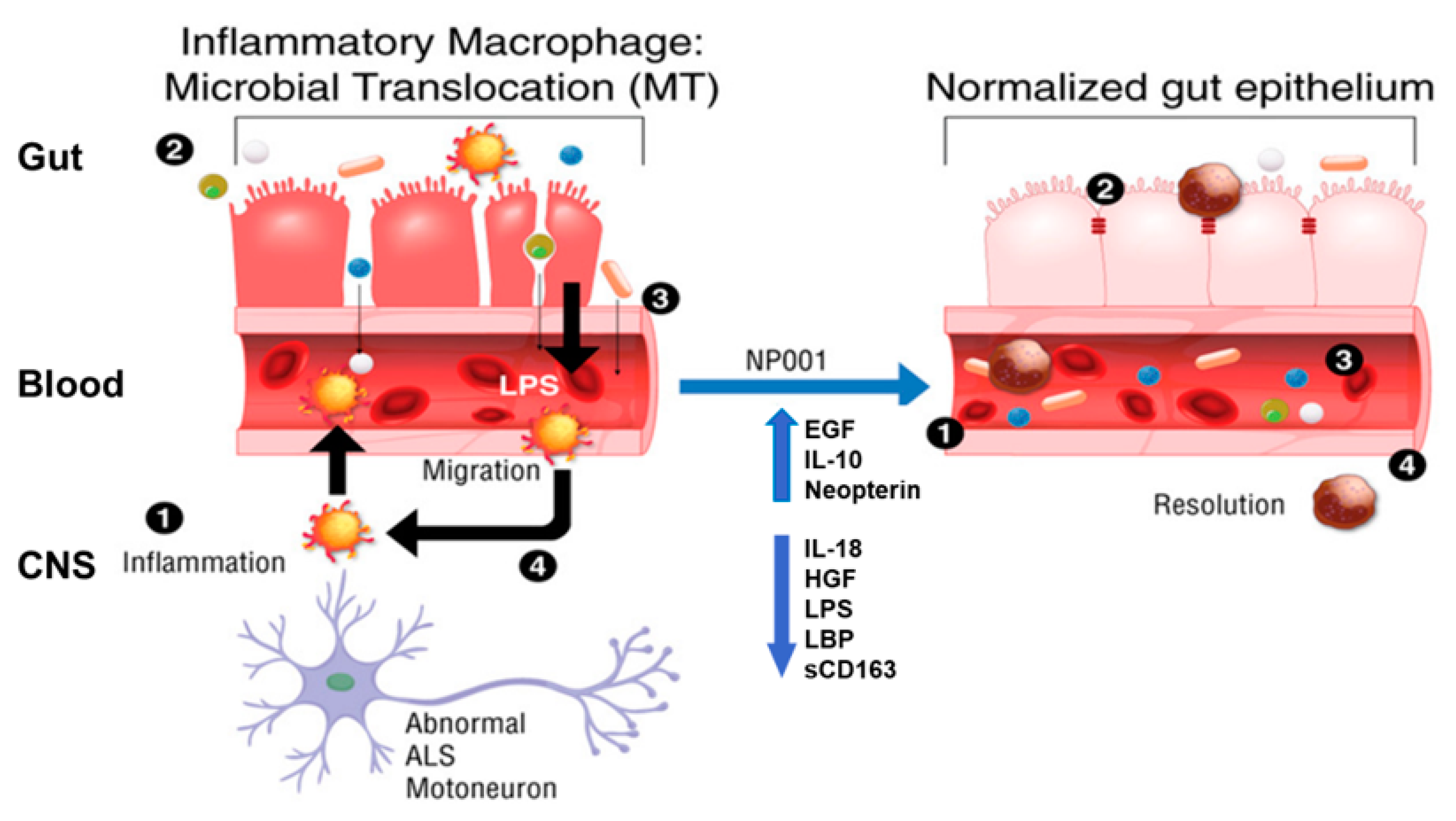 Biomedicines 10 02907 g006