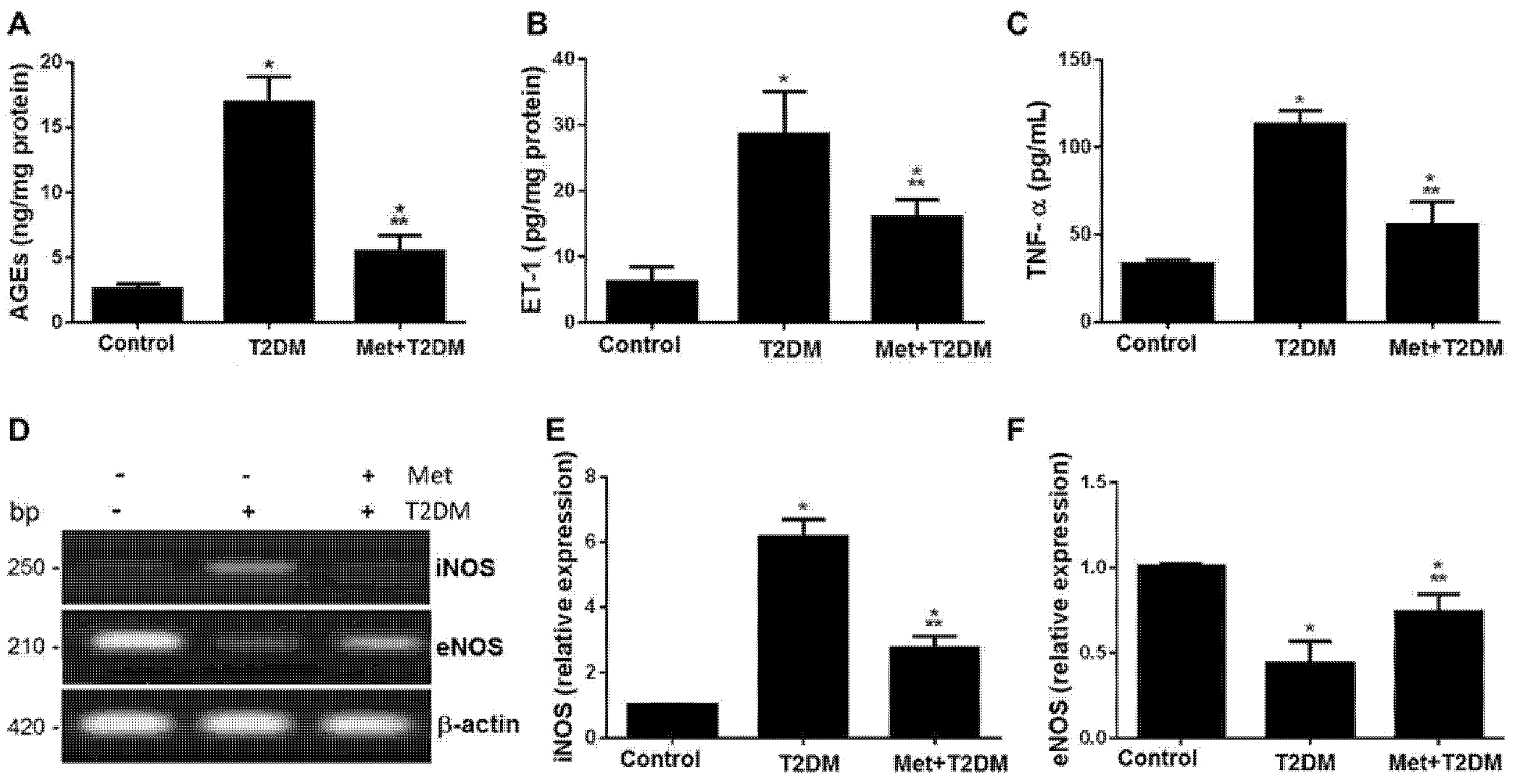 Biomedicines 11 00361 g002 Biomedicines 11 00361 g002
