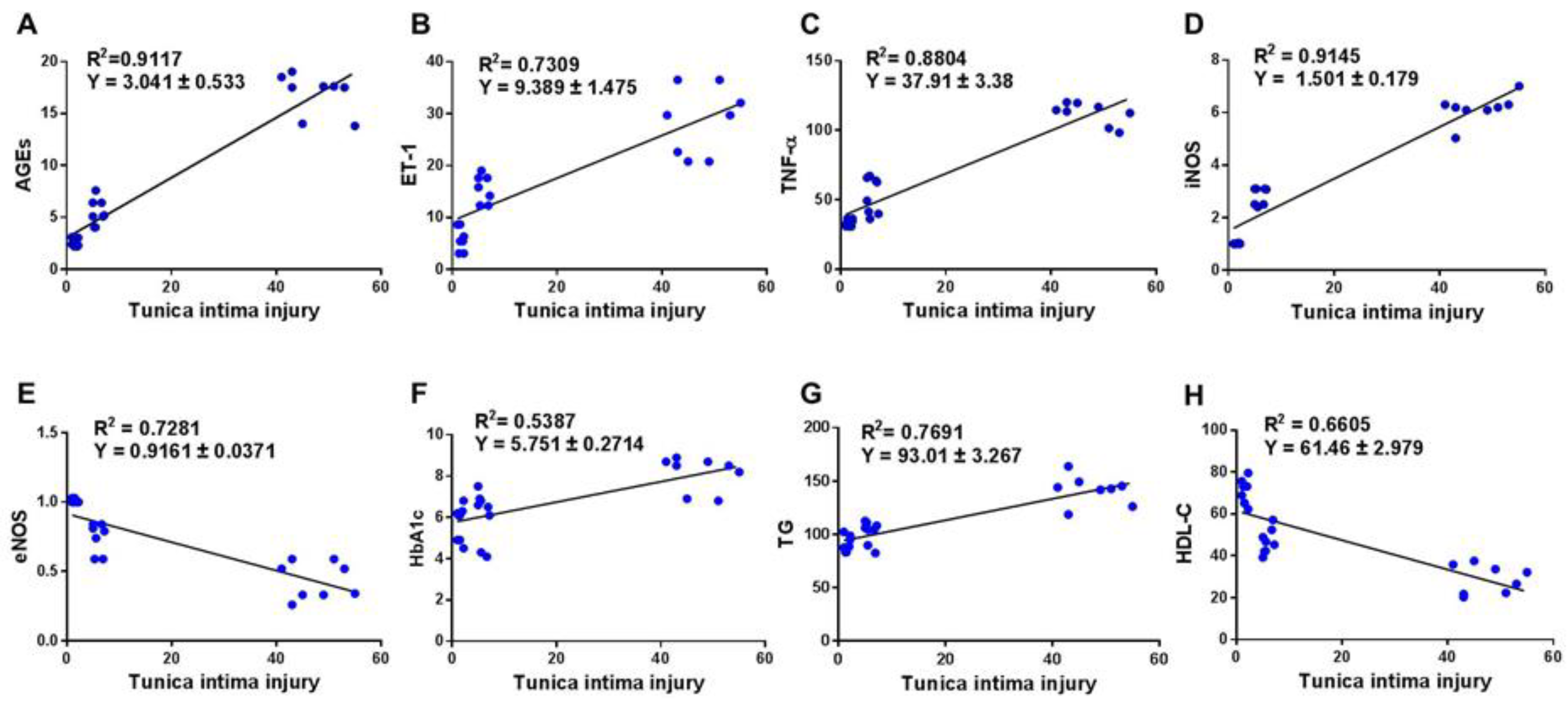 Biomedicines 11 00361 g004 Biomedicines 11 00361 g004