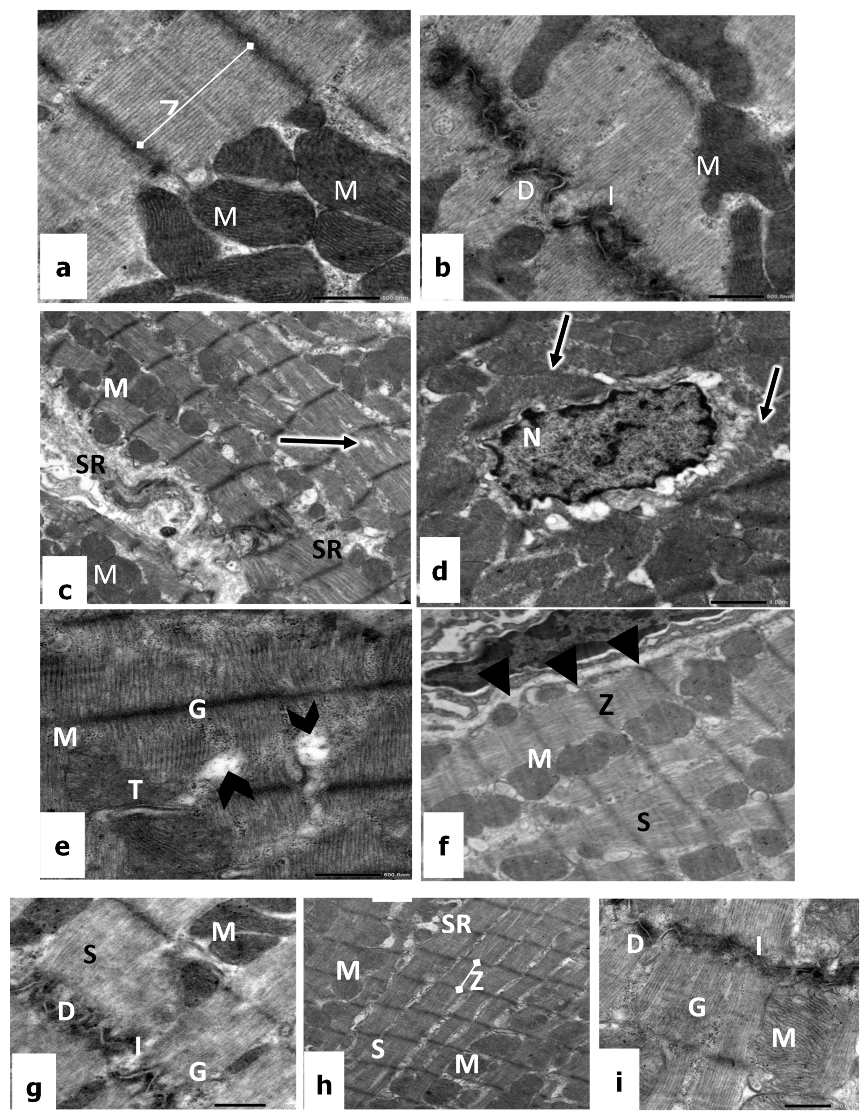 Biomedicines 11 00390 g003 Biomedicines 11 00390 g003