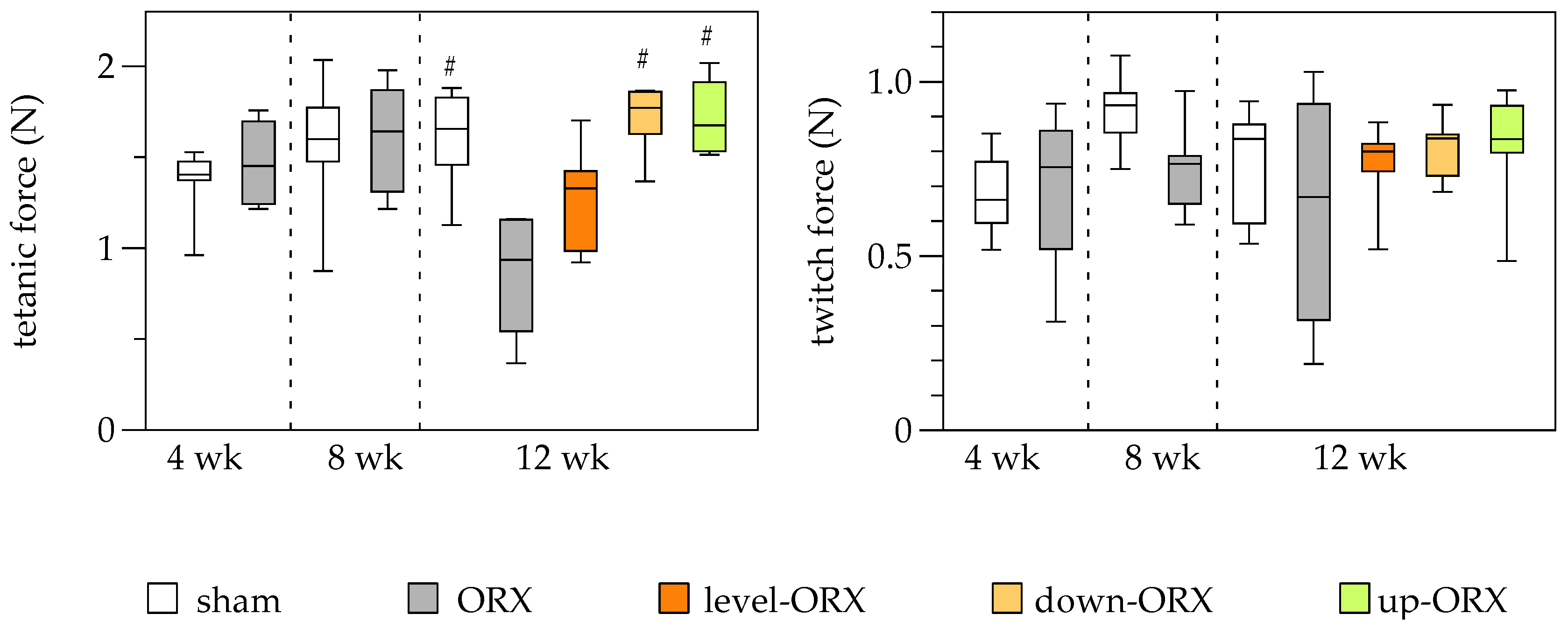 Biomedicines 11 01370 g004